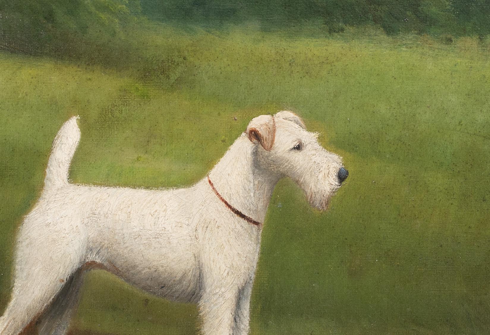 Porträt eines Fuch Terriers aus Drahthaar, 19. Jahrhundert  von Henry CROWTHER um 1935 im Angebot 3