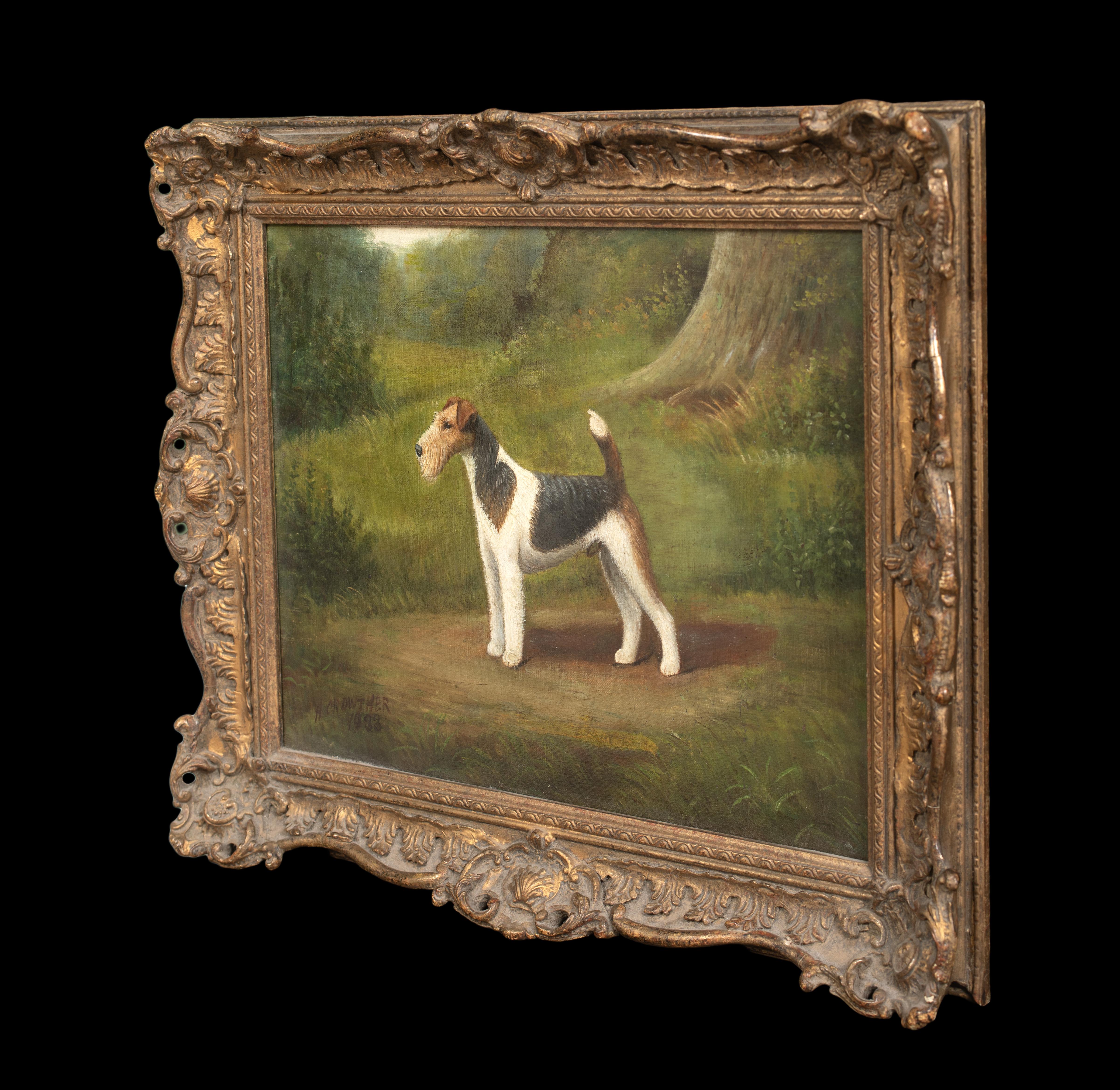 Ritratto di un Fox Terrier a pelo corto, XIX secolo  di Henry Crowther circa 1935 7
