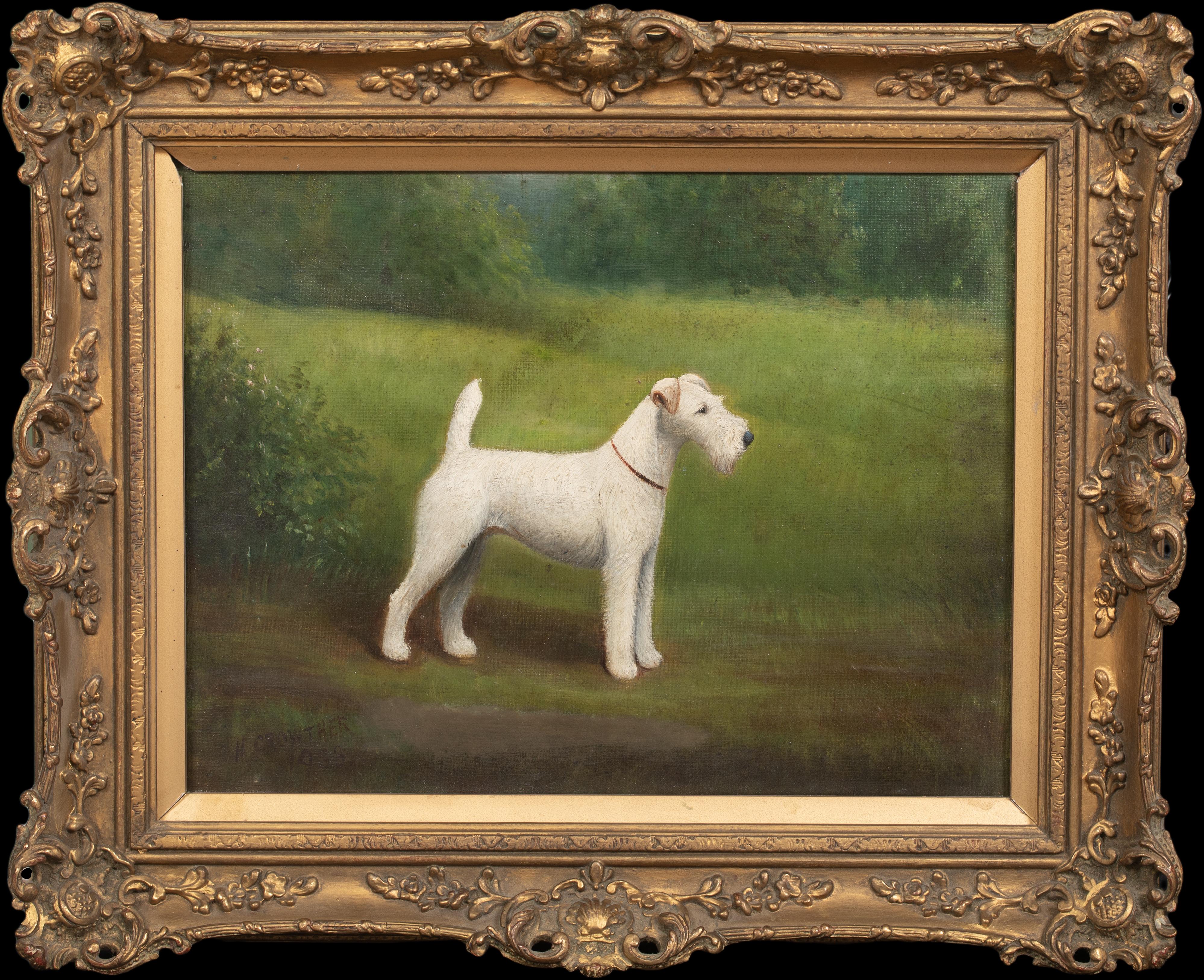 Henry Crowther Animal Painting – Porträt eines Fuch Terriers aus Drahthaar, 19. Jahrhundert  von Henry CROWTHER um 1935