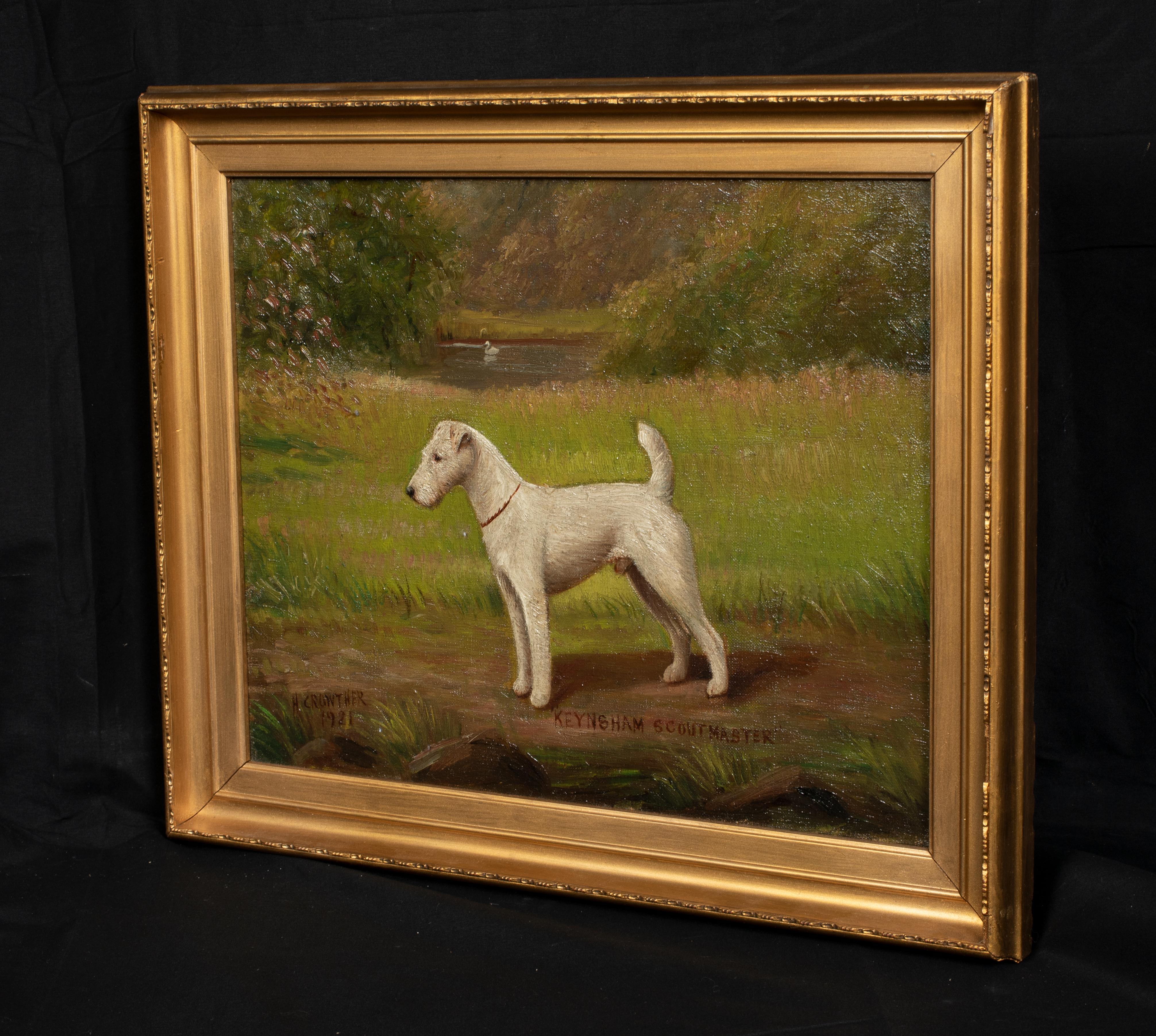 wire fox terrier tintin