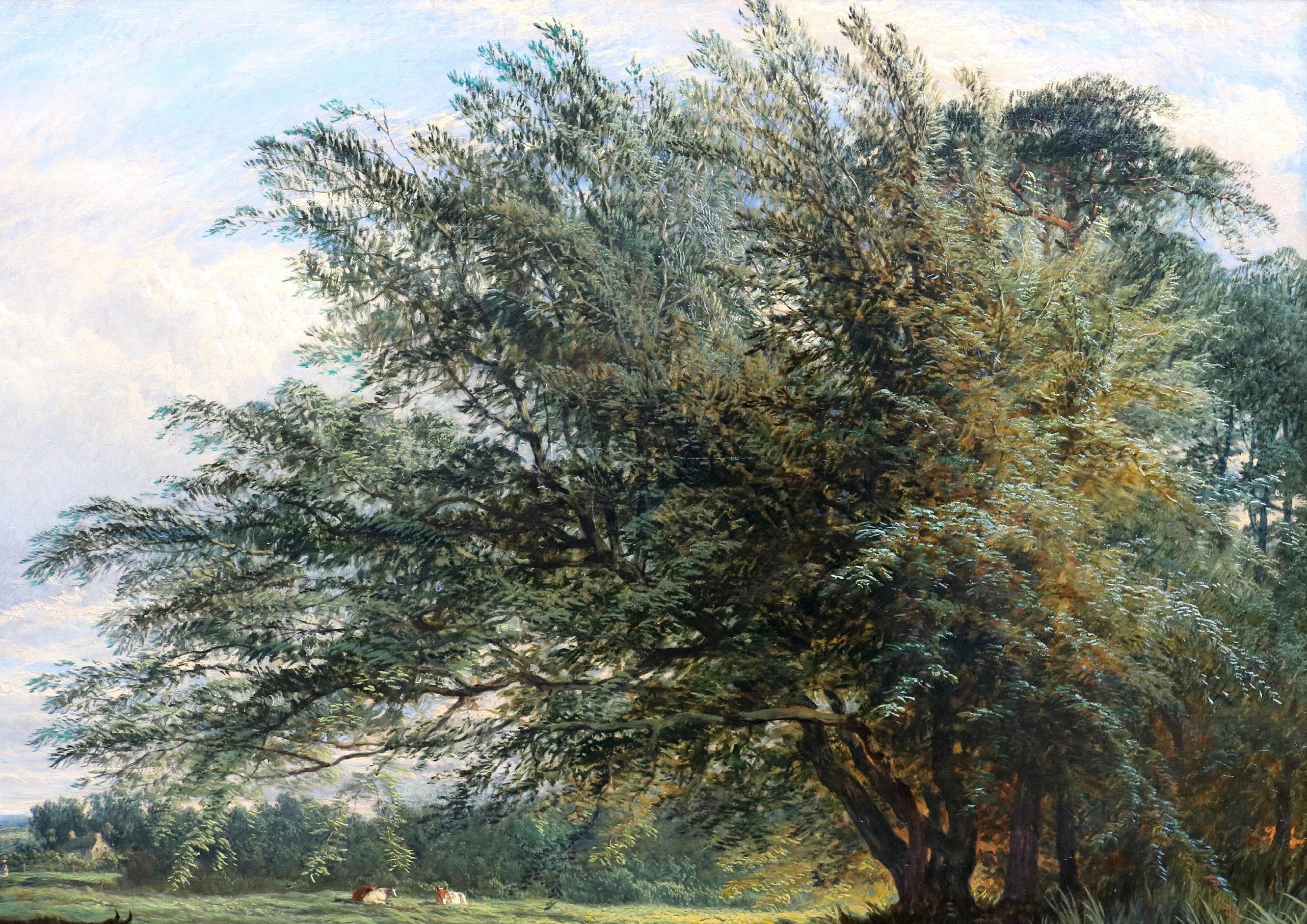 Sombra de verano - Gran óleo del siglo XIX Paisaje fluvial inglés de Yorkshire en venta 4