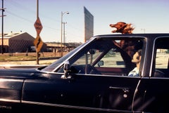Vintage Dog in Car