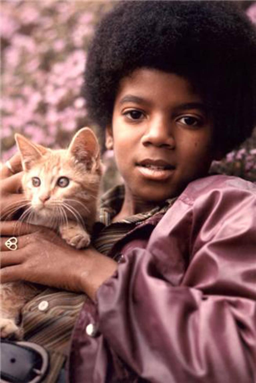 Henry Diltz Portrait Photograph - Michael Jackson with Kitten, 1971