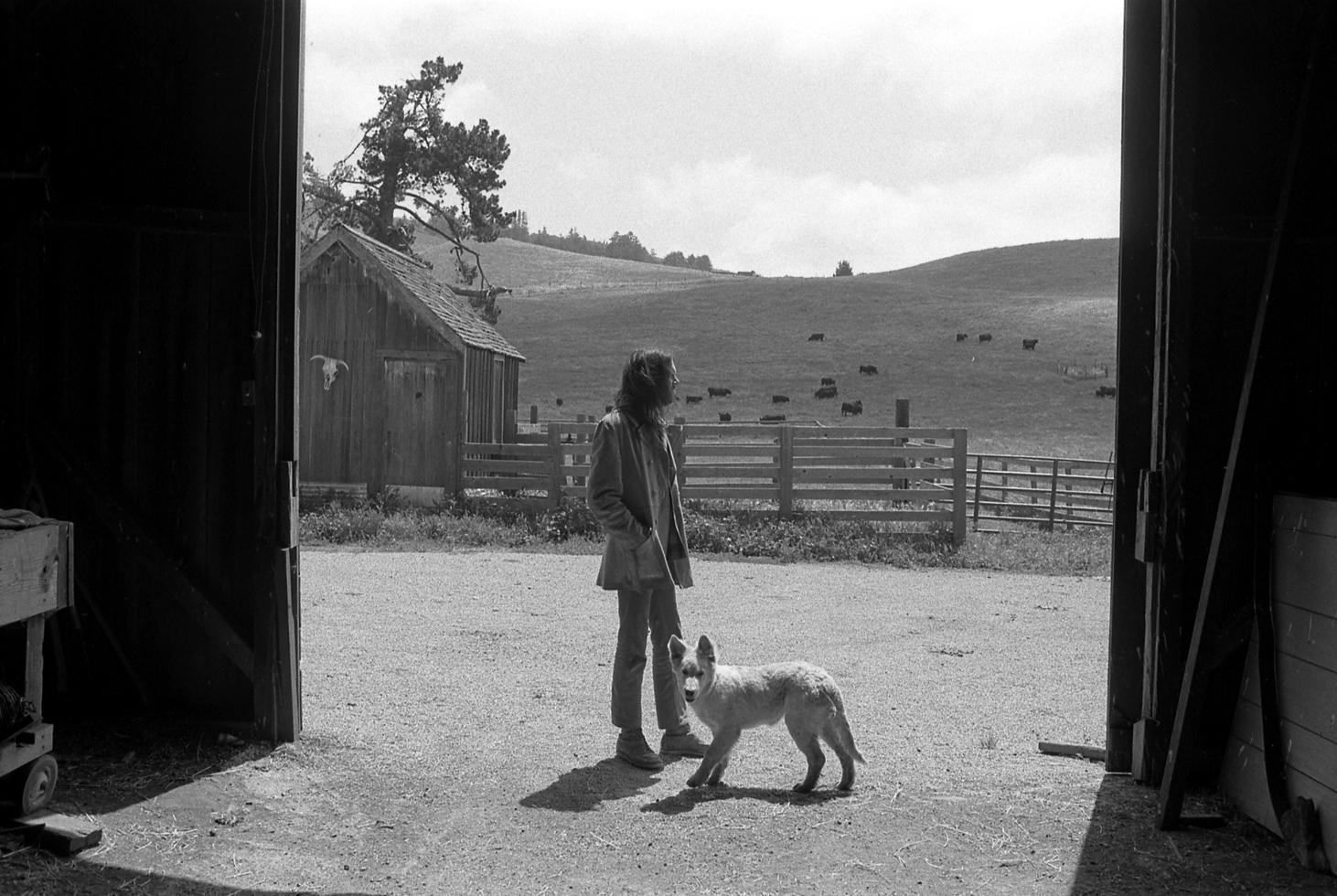 Henry Diltz Landscape Photograph – Neil Young, Broken Arrow Ranch, Half Moon Bay, Kalifornien 1971