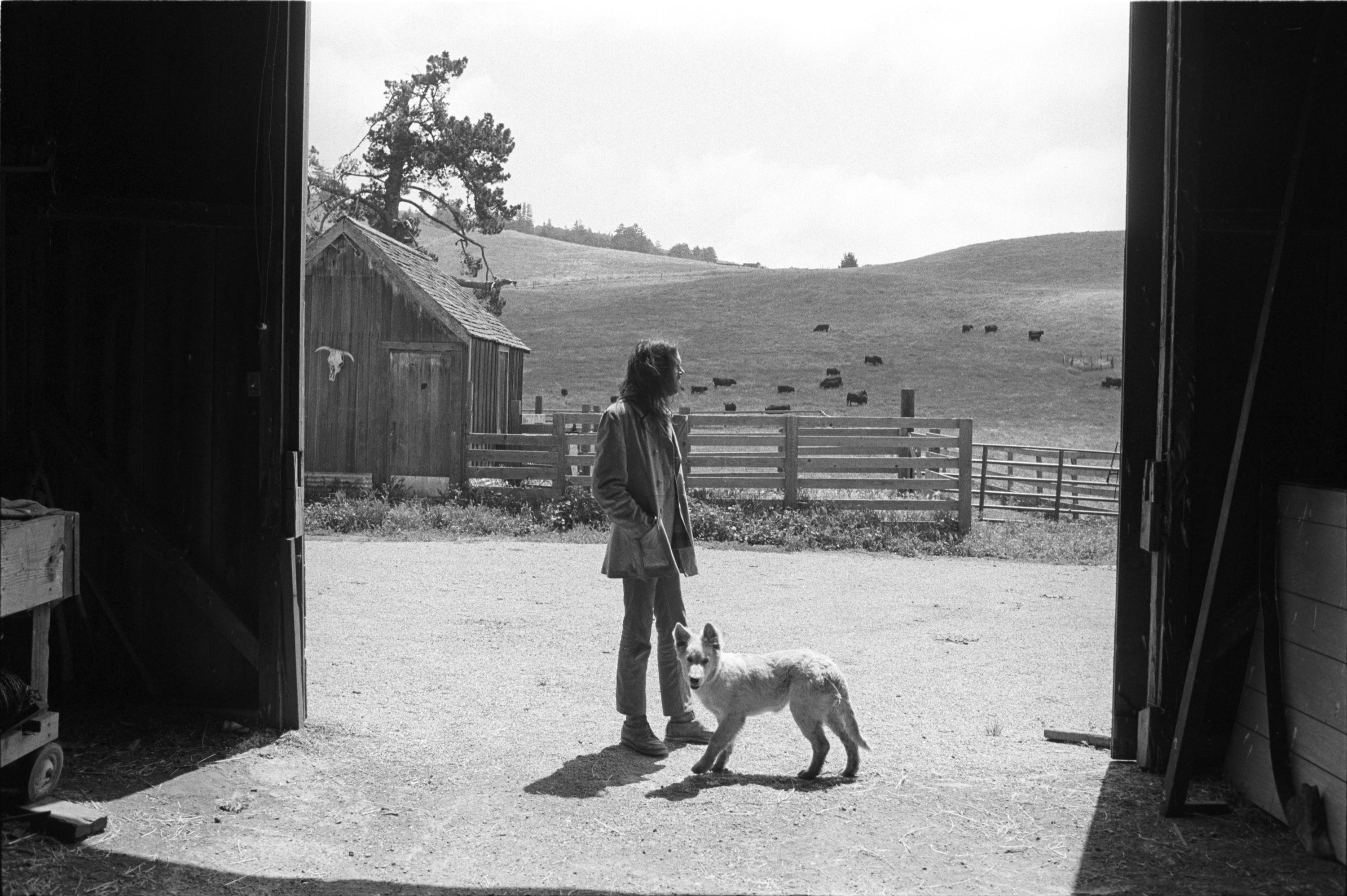 Color Photograph Henry Diltz - Neil Young