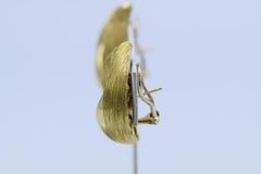 Henry Dunay 18 Karat Gold Earrings