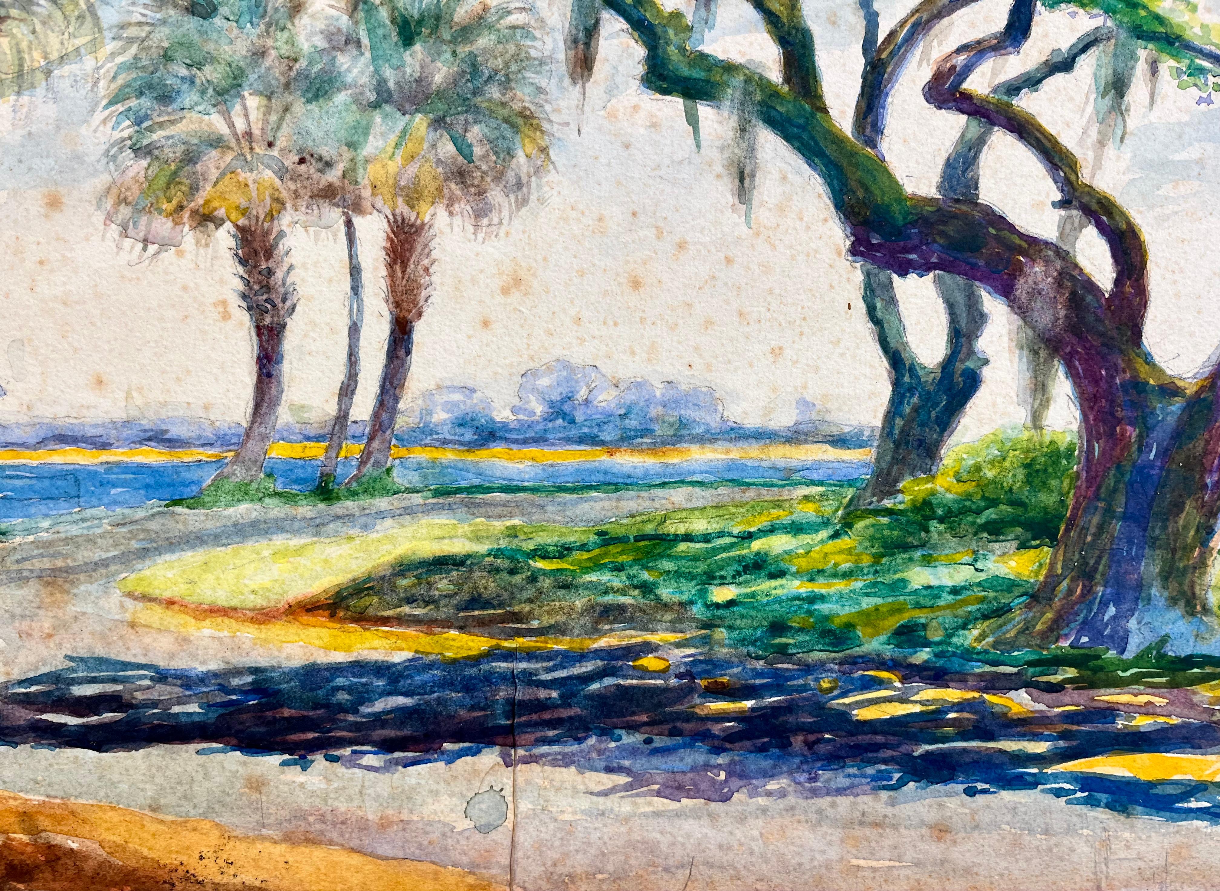 Chênes et palmiers le long des plages de St. Augustine, Floride en vente 1