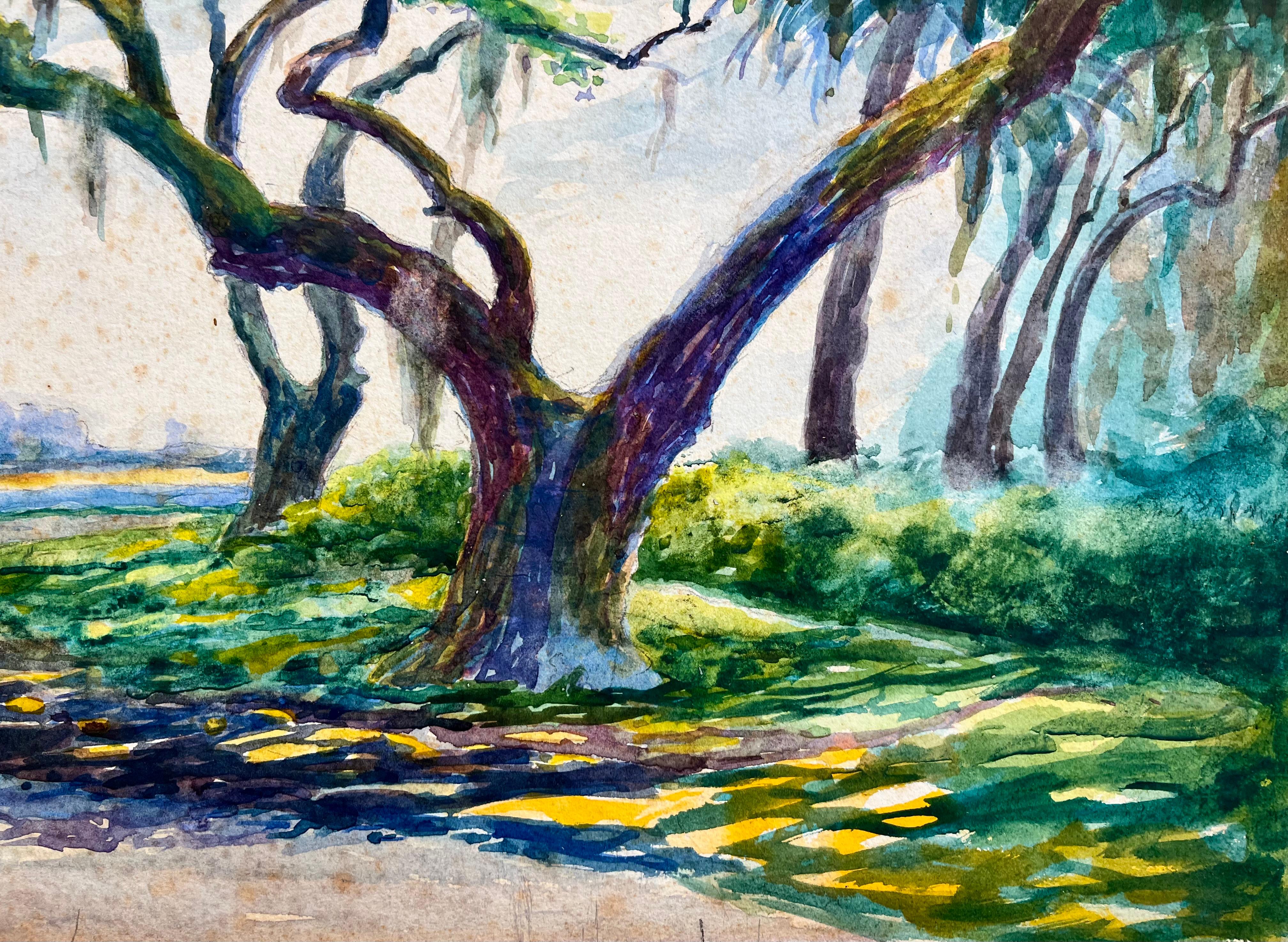 Chênes et palmiers le long des plages de St. Augustine, Floride en vente 2