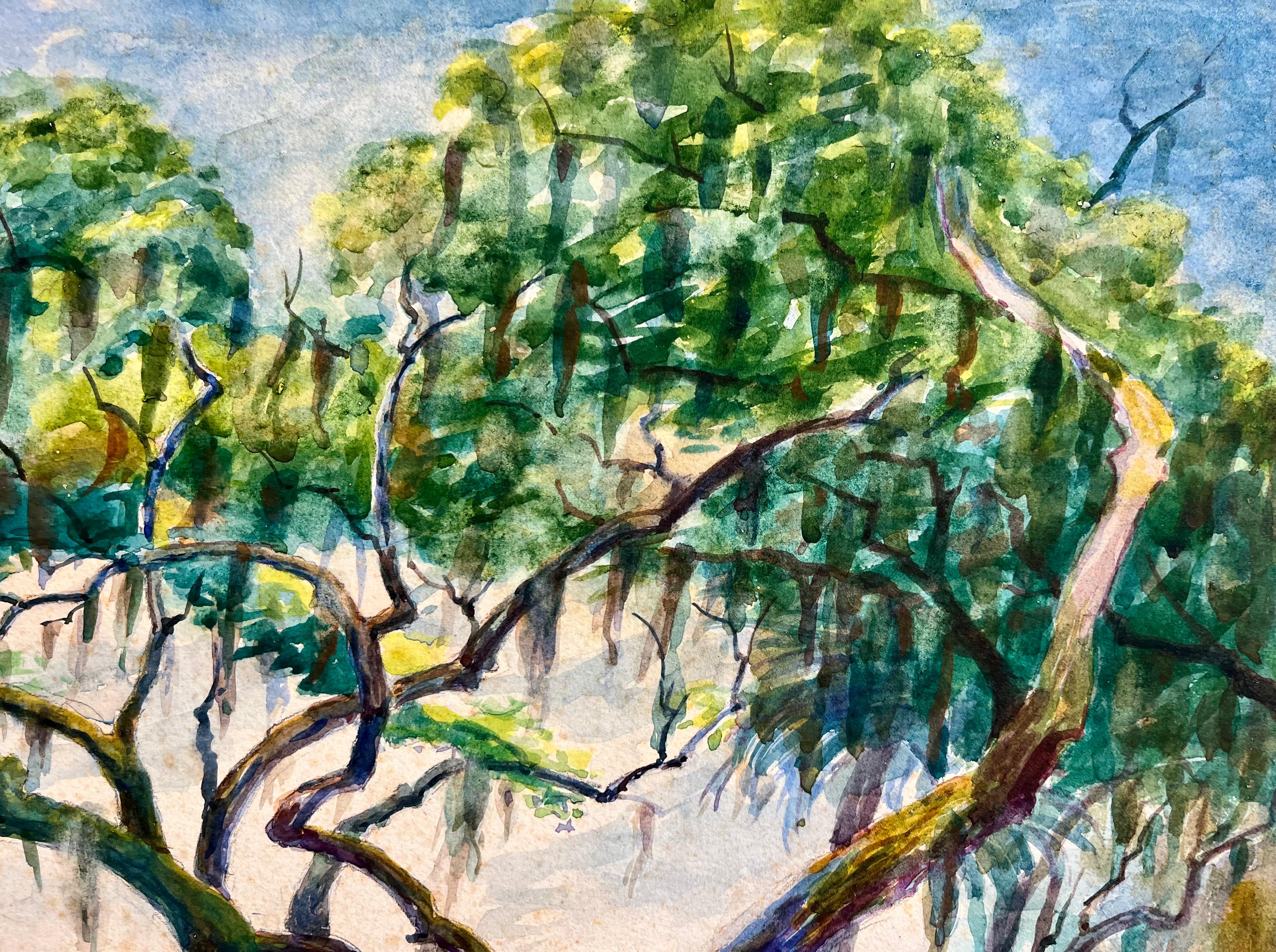 Chênes et palmiers le long des plages de St. Augustine, Floride en vente 3