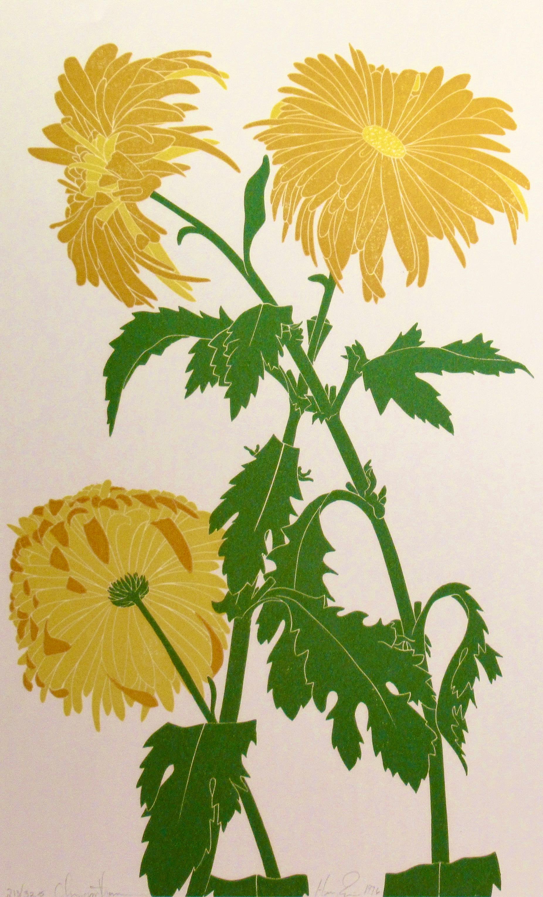 Chrysantheme – Print von Henry Evans