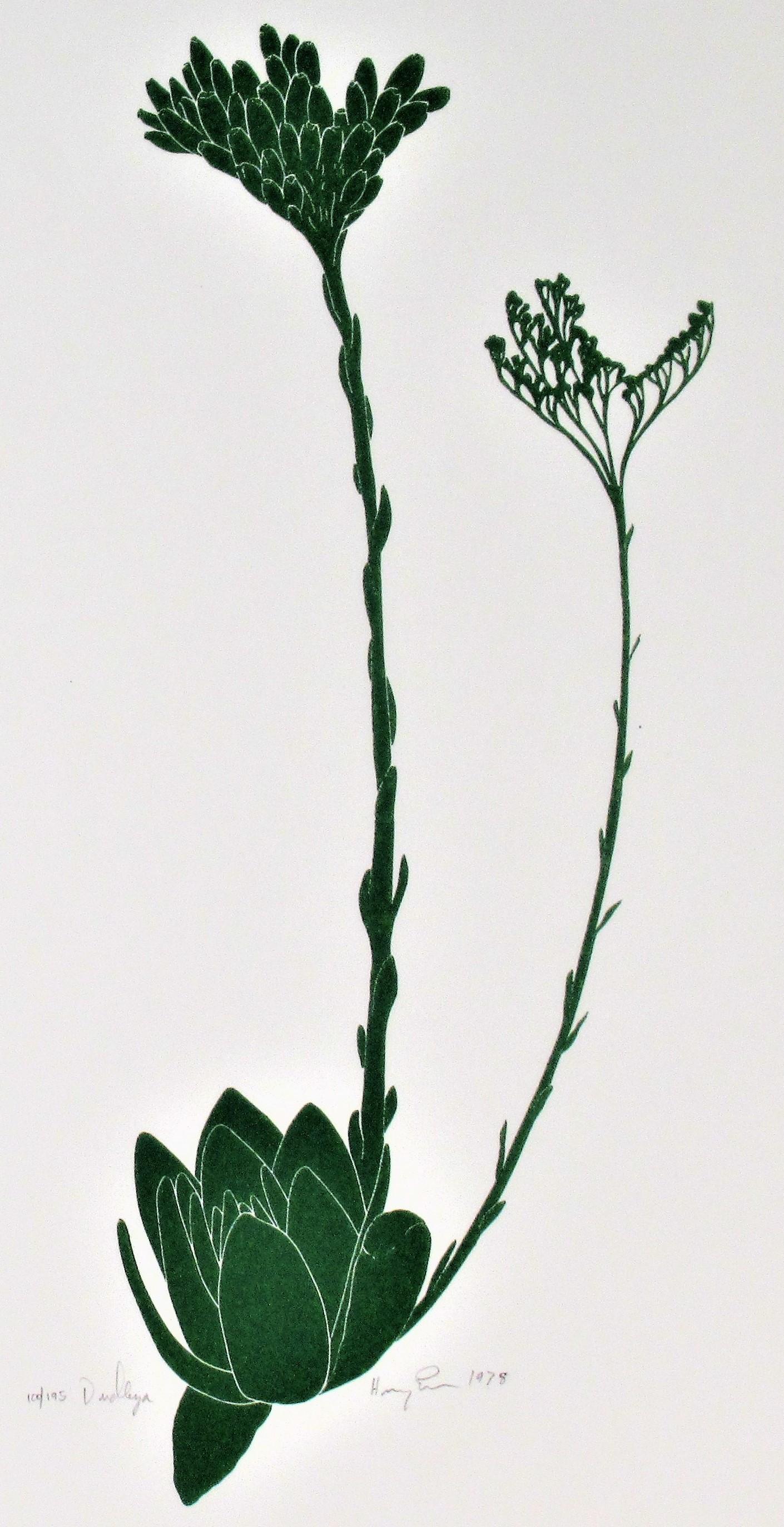 Fiori - Print di Henry Evans