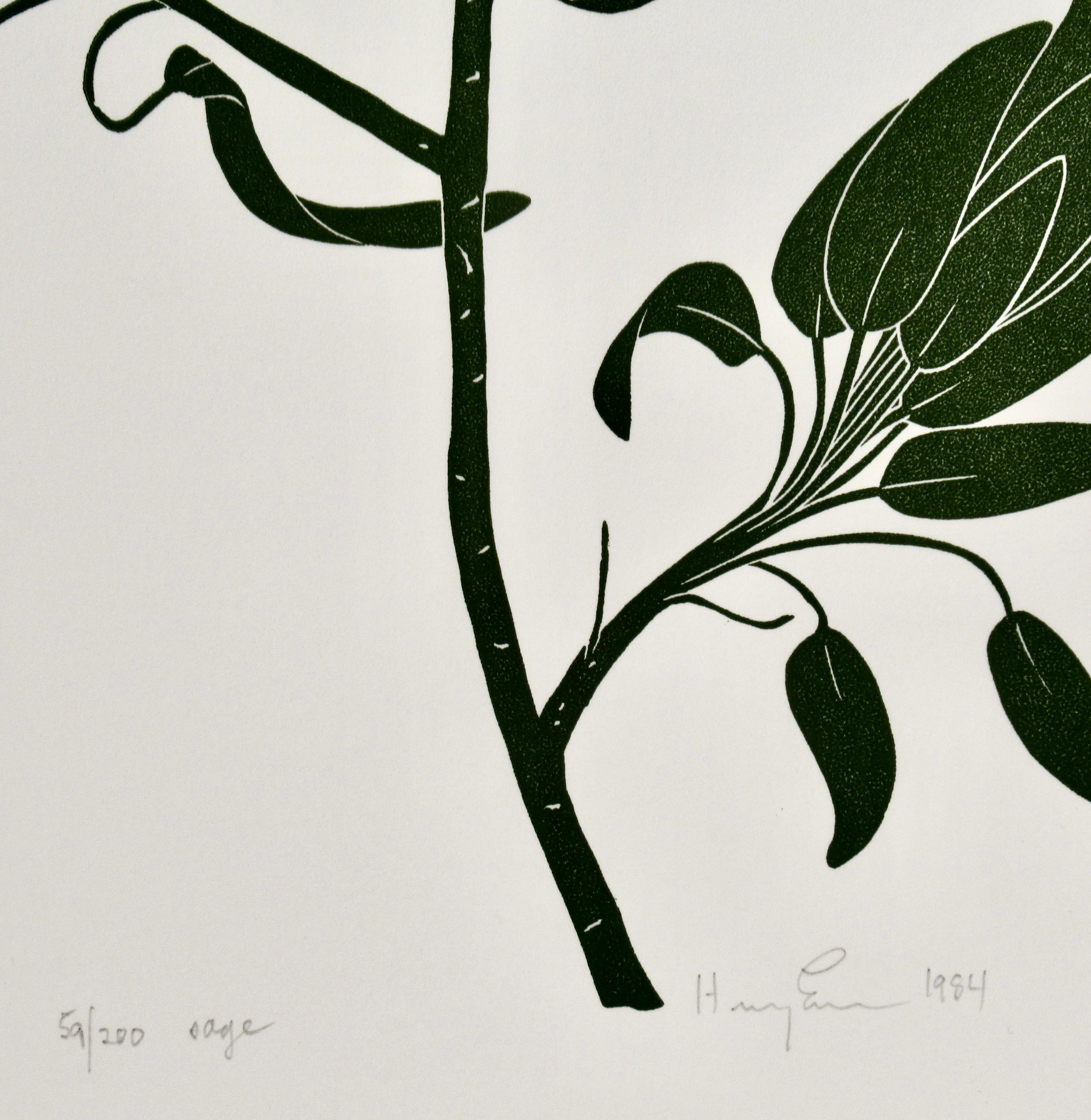Salvia - Figurative Print Gris de Henry Evans