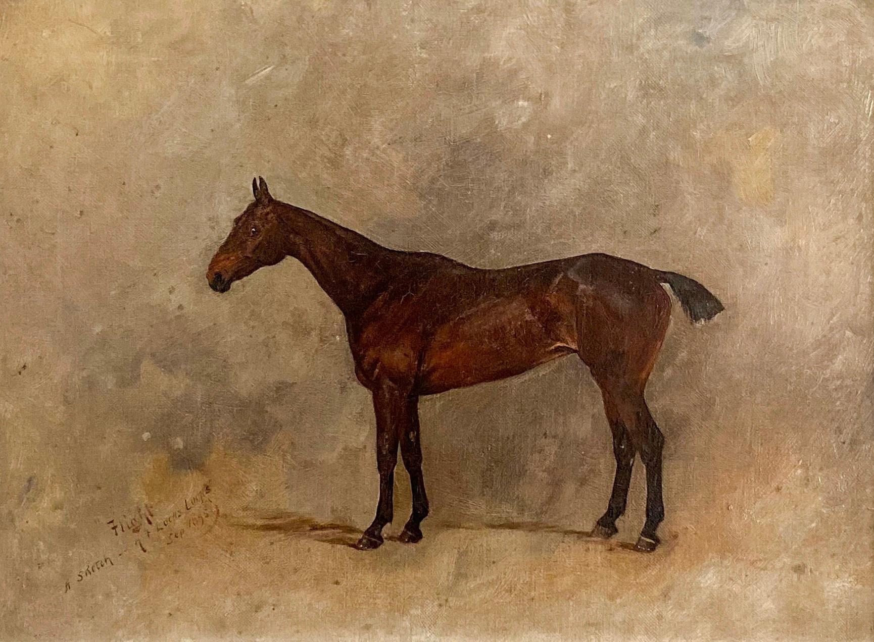 19th  century study of a chestnut horse, signed and dated - Painting by Henry Frederick Lucas Lucas 