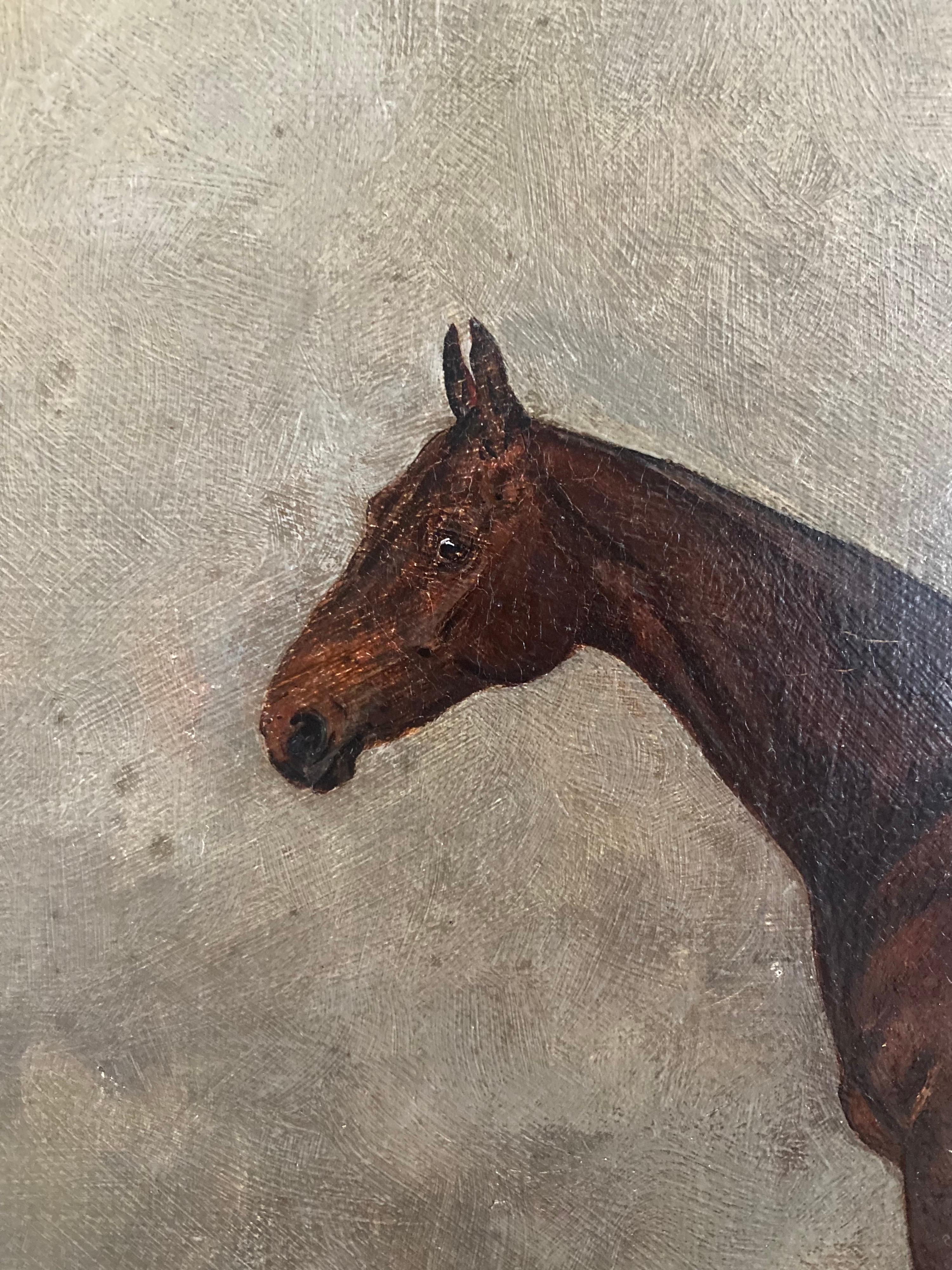 19th  century study of a chestnut horse, signed and dated - Brown Animal Painting by Henry Frederick Lucas Lucas 