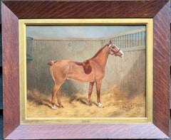 19th century Victorian Antique Polo Pony or horse in a stable called Carlow