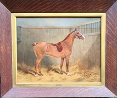 19th century Victorian Antique Polo Pony or horse in a stable called Carlow