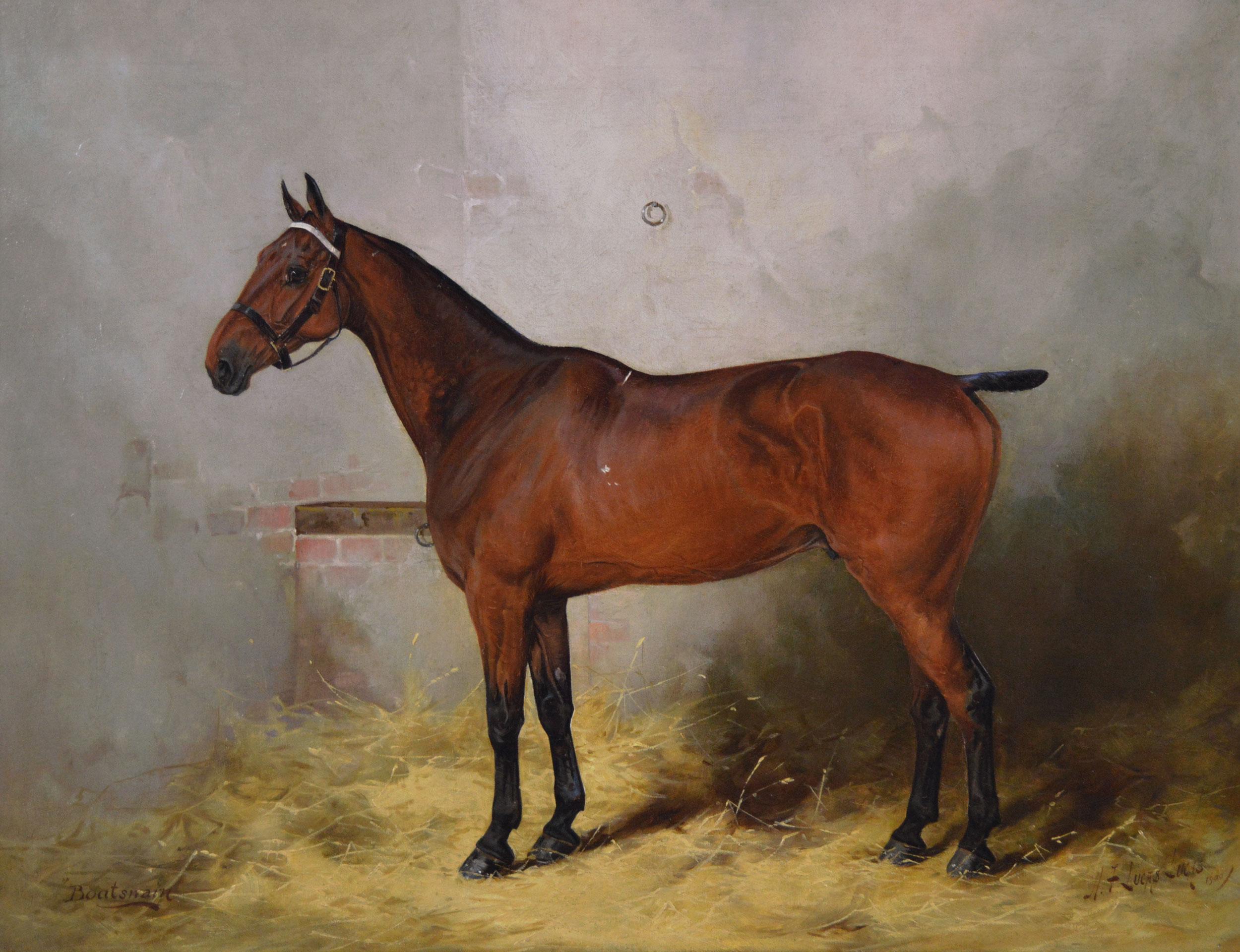 Horse portrait oil painting of a bay stallion  - Painting by Henry Frederick Lucas Lucas 
