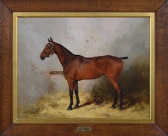 Antique Horse portrait oil painting of a bay stallion 