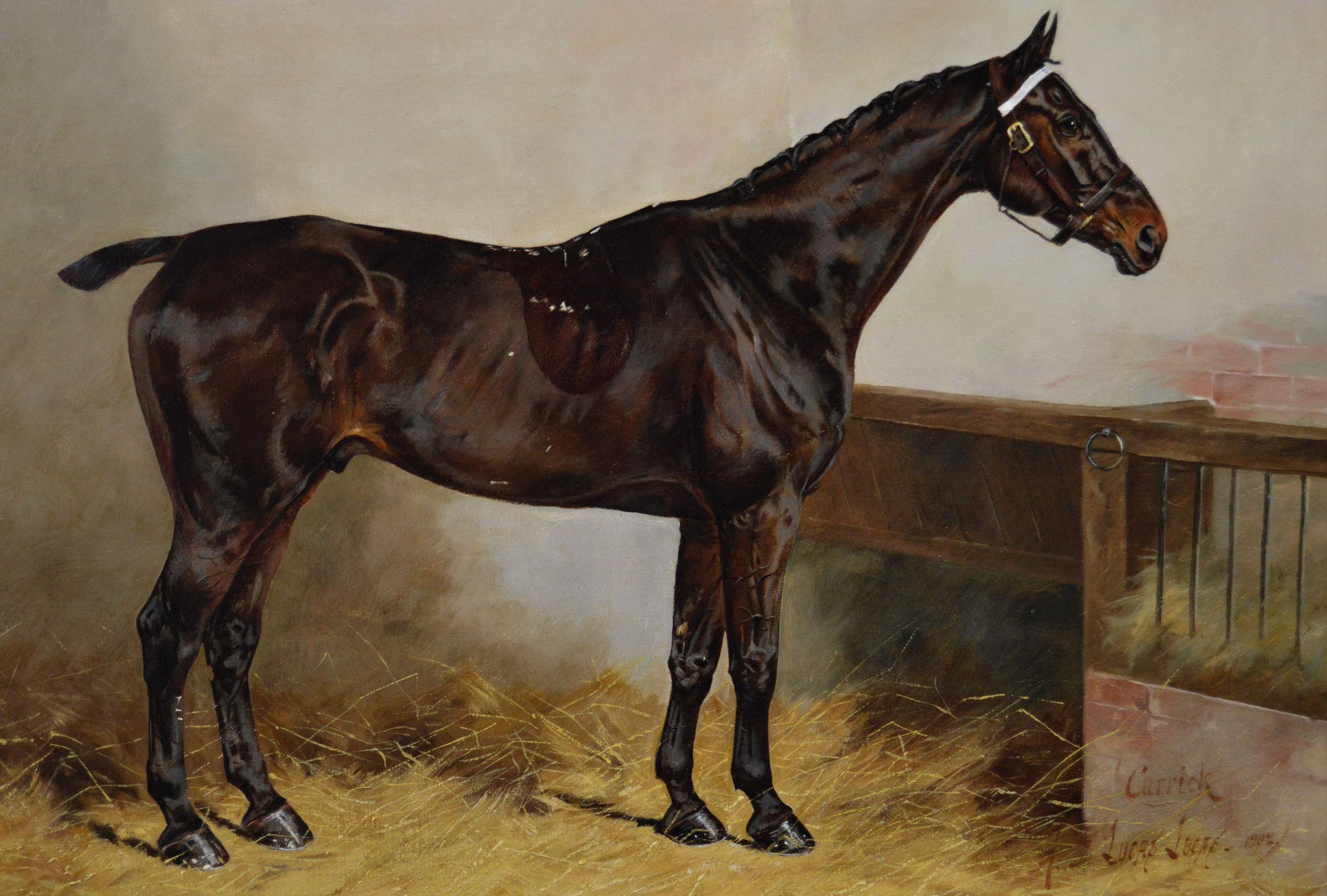 Peinture à l'huile d'un portrait de cheval à l'huile d'un étalon brun foncé  - Victorien Painting par Henry Frederick Lucas Lucas 
