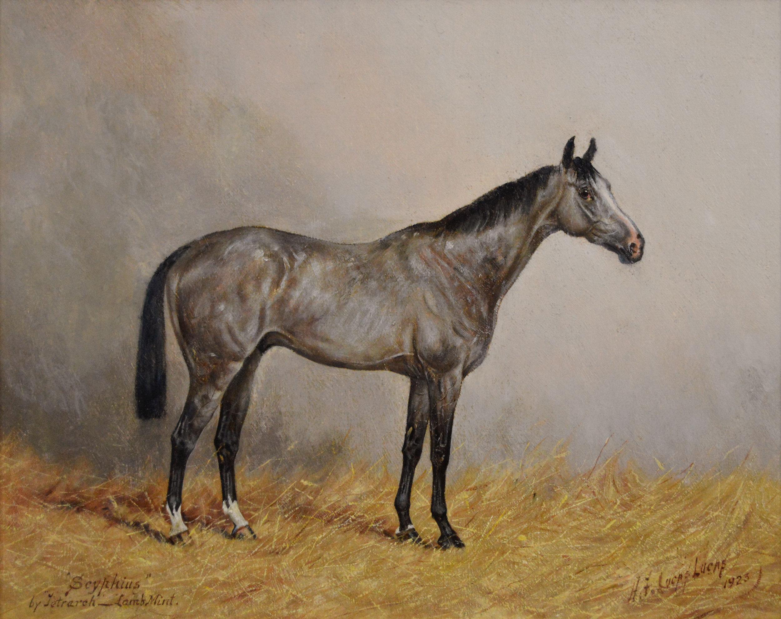 Ritratto di cavallo dipinto ad olio di un puledro grigio - Painting di Henry Frederick Lucas Lucas 