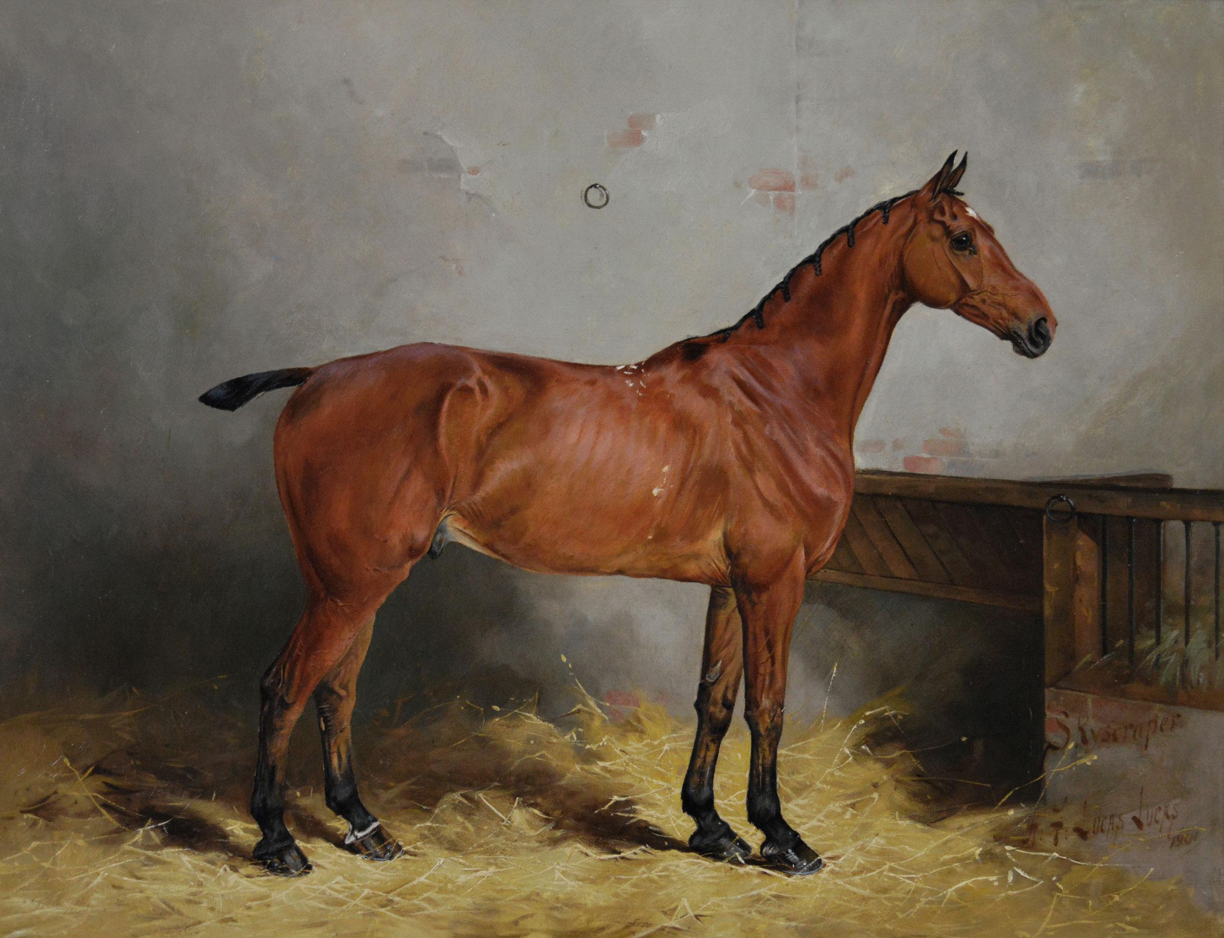 Horse portrait oil painting of a prize winning bay stallion - Painting by Henry Frederick Lucas Lucas 