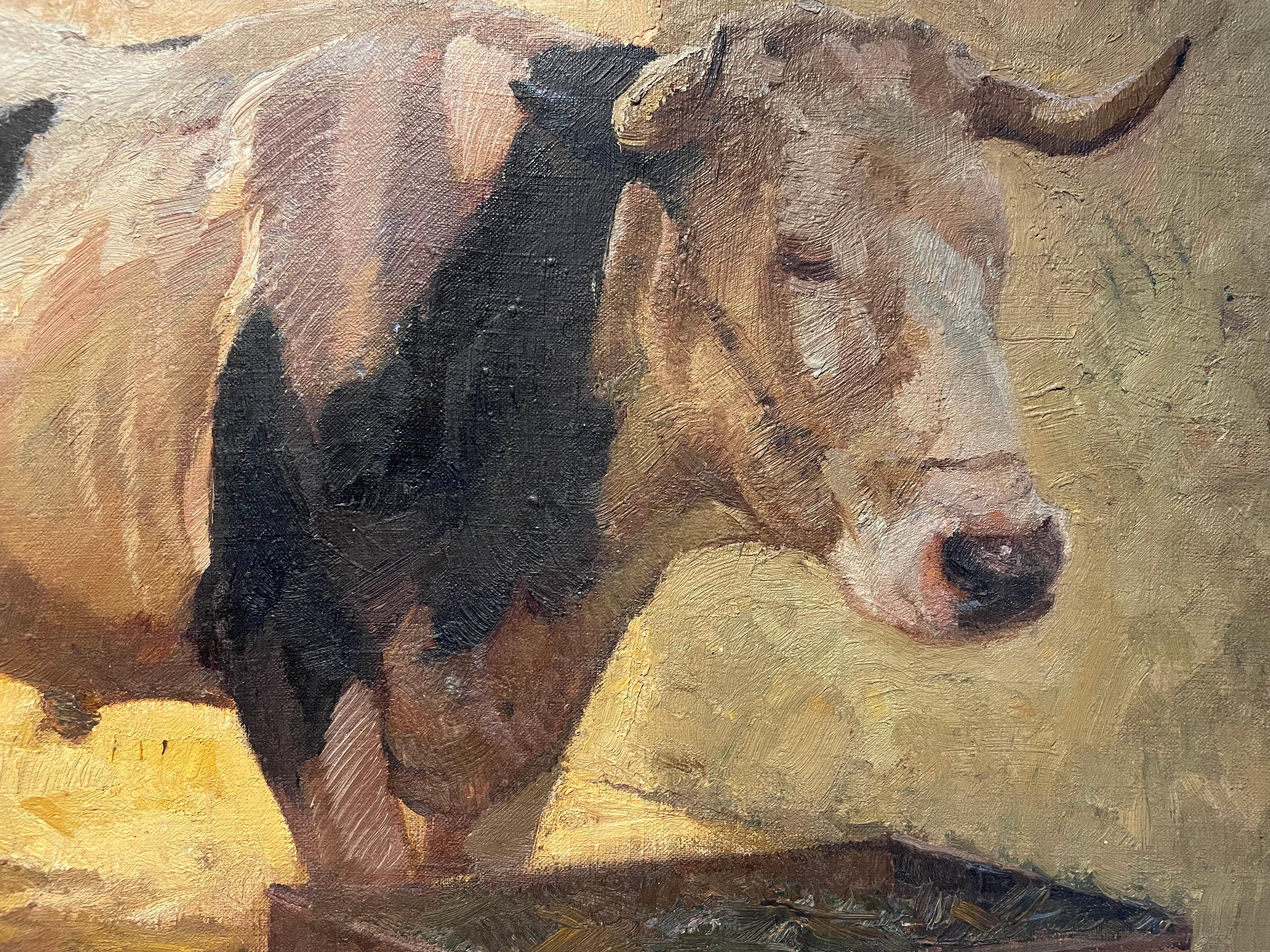 Cattle Series Study, Early 20th Century Bovine/Cow, Cleveland School artist For Sale 3