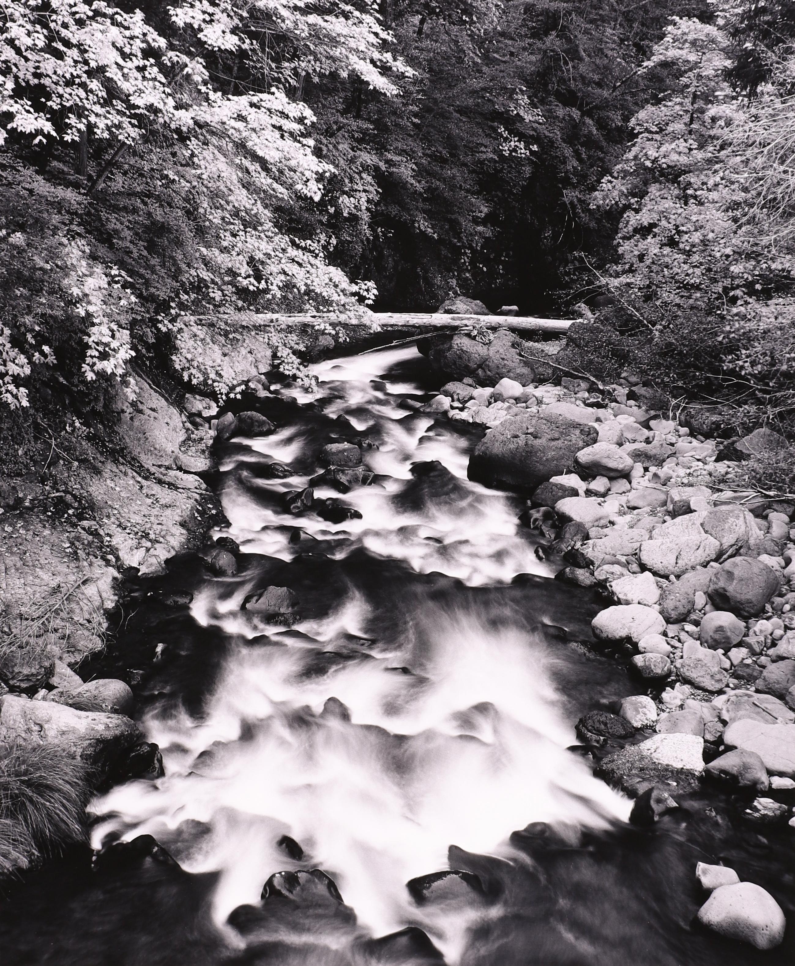 Deer Creek