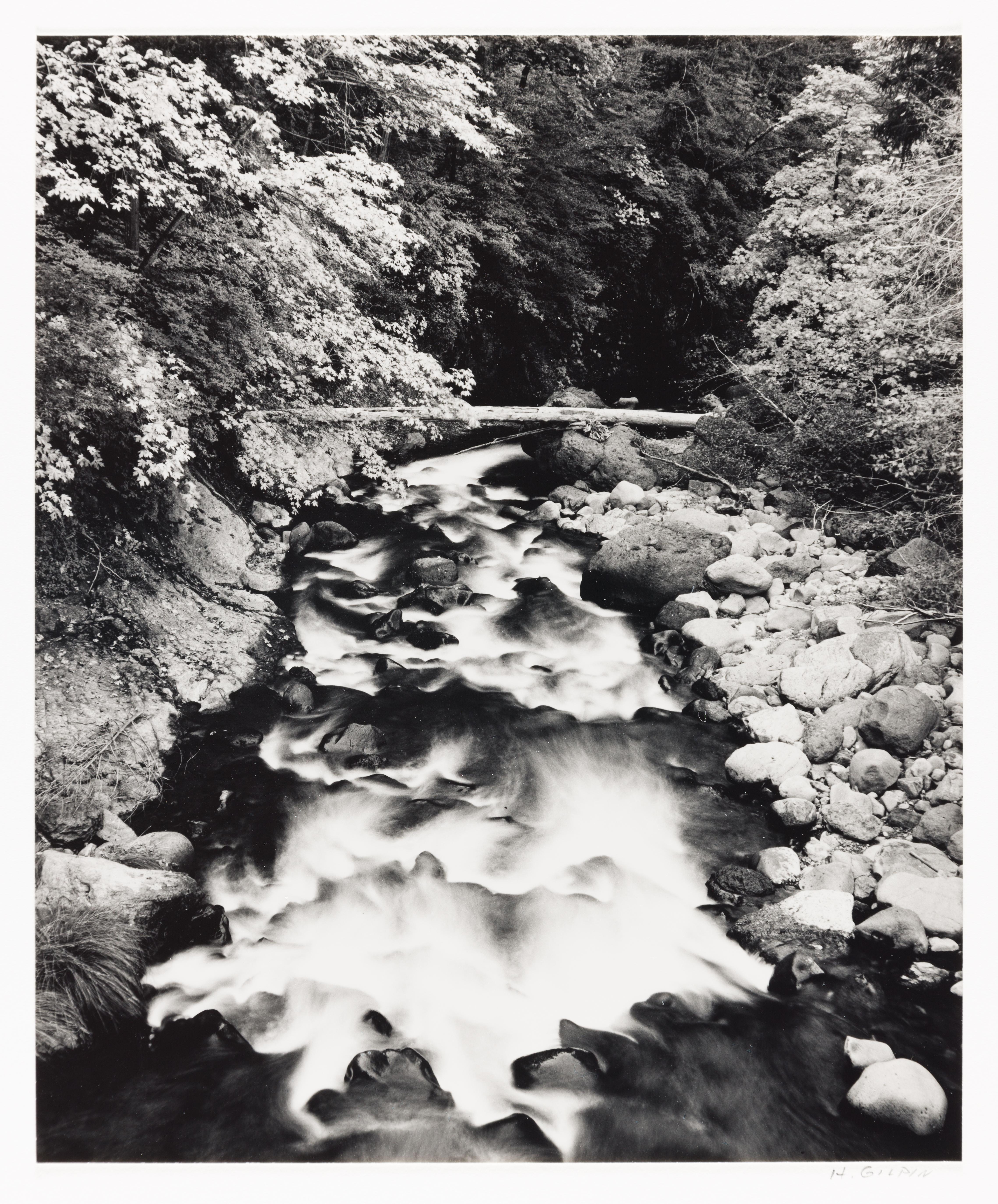 Deer Creek, Yosemite - Photograph by Henry Gilpin