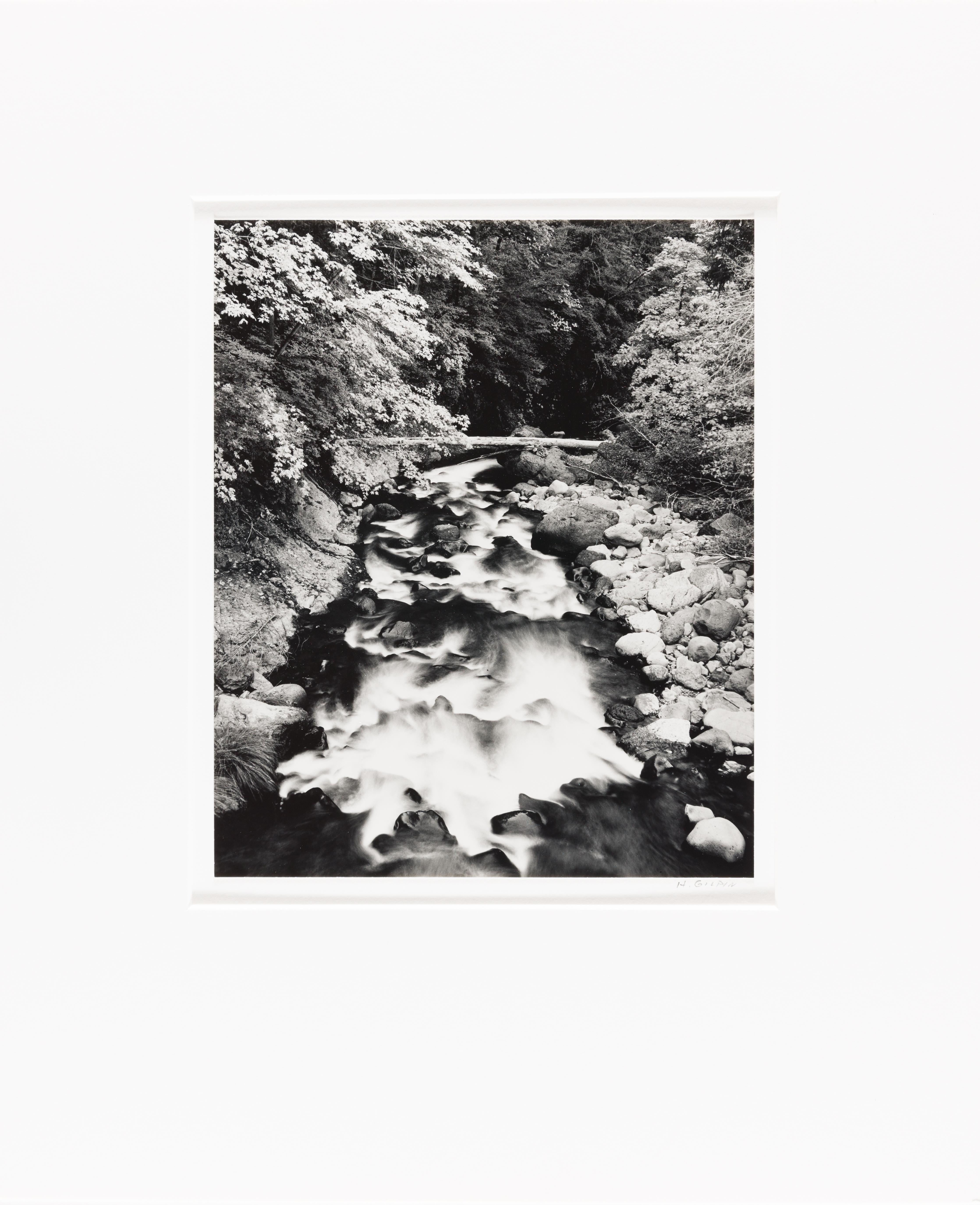 Deer Creek, Yosemite - Black Landscape Photograph by Henry Gilpin