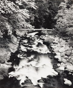 Deer Creek, Yosemite