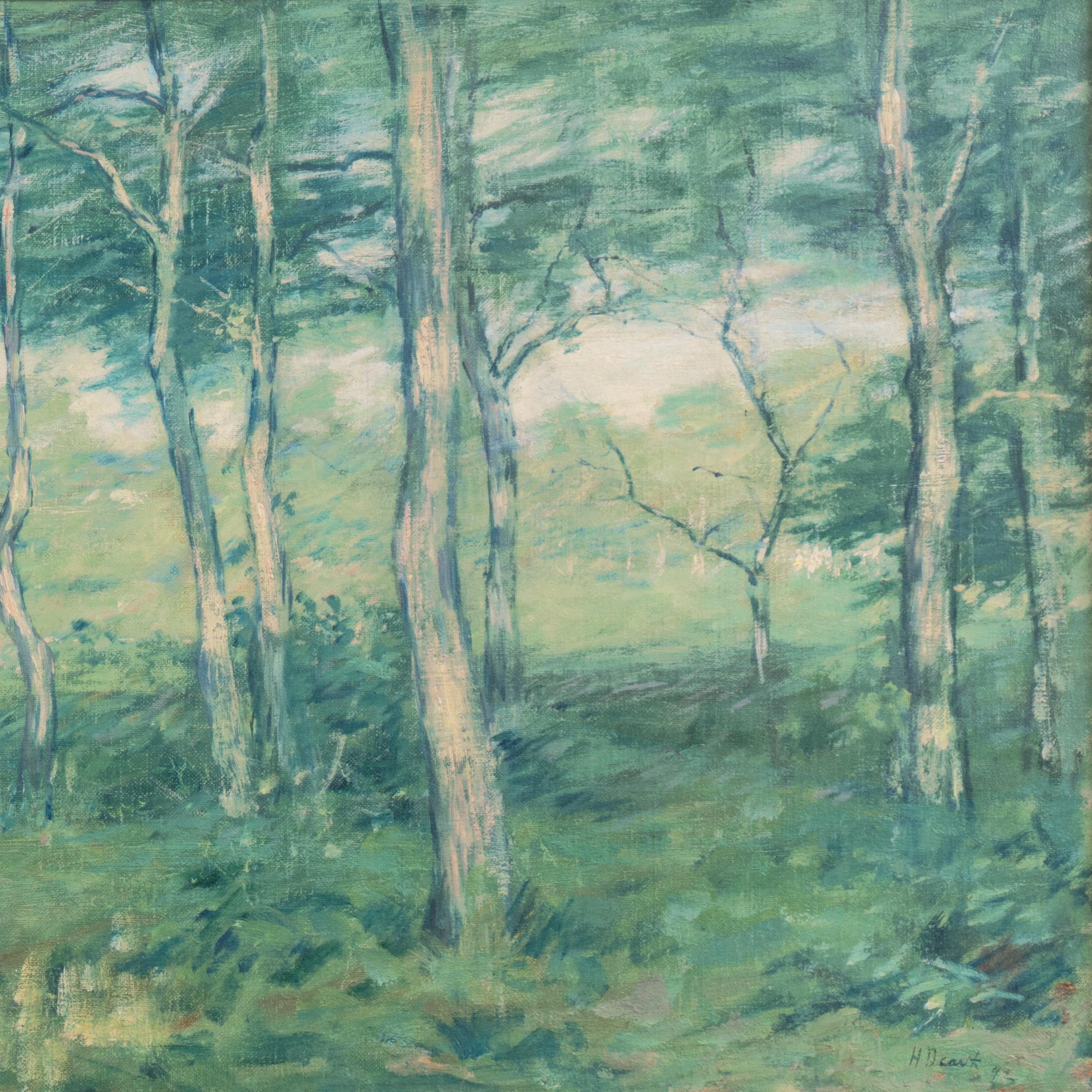 Paisaje de bosque