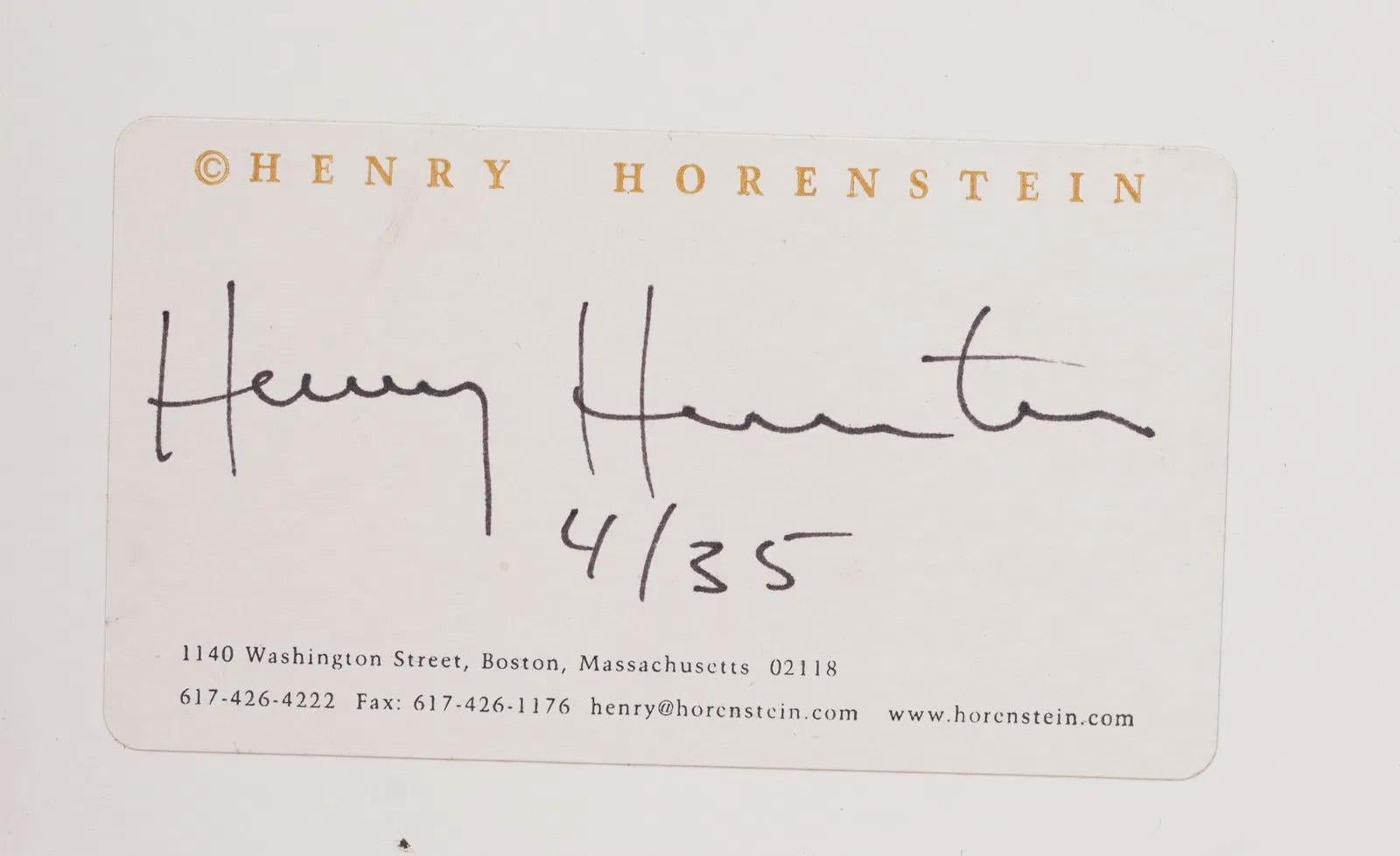 Splendida e rara fotografia di Henry Horenstein (nato nel 1947).  Edizione limitata di 35 pezzi.  Etichetta della galleria sul retro. Incorniciato. Misura 16 x 24 pollici in totale e 15,5 x 23,5 solo per la foto. 