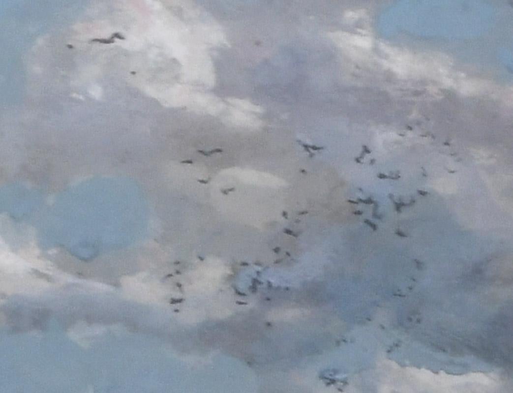 Crows aloft, Berlin Heights - Gray Landscape Painting by Henry Keller
