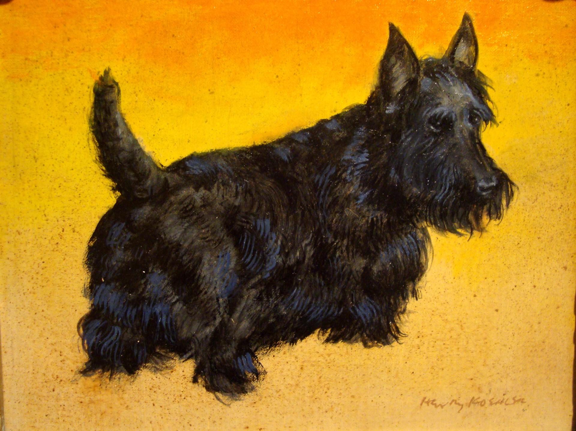 Portrait Painting de Henry Koehler - Pequeña Pintura de un Distinguido Terrier Escocés sobre Fondo Amarillo Vivo