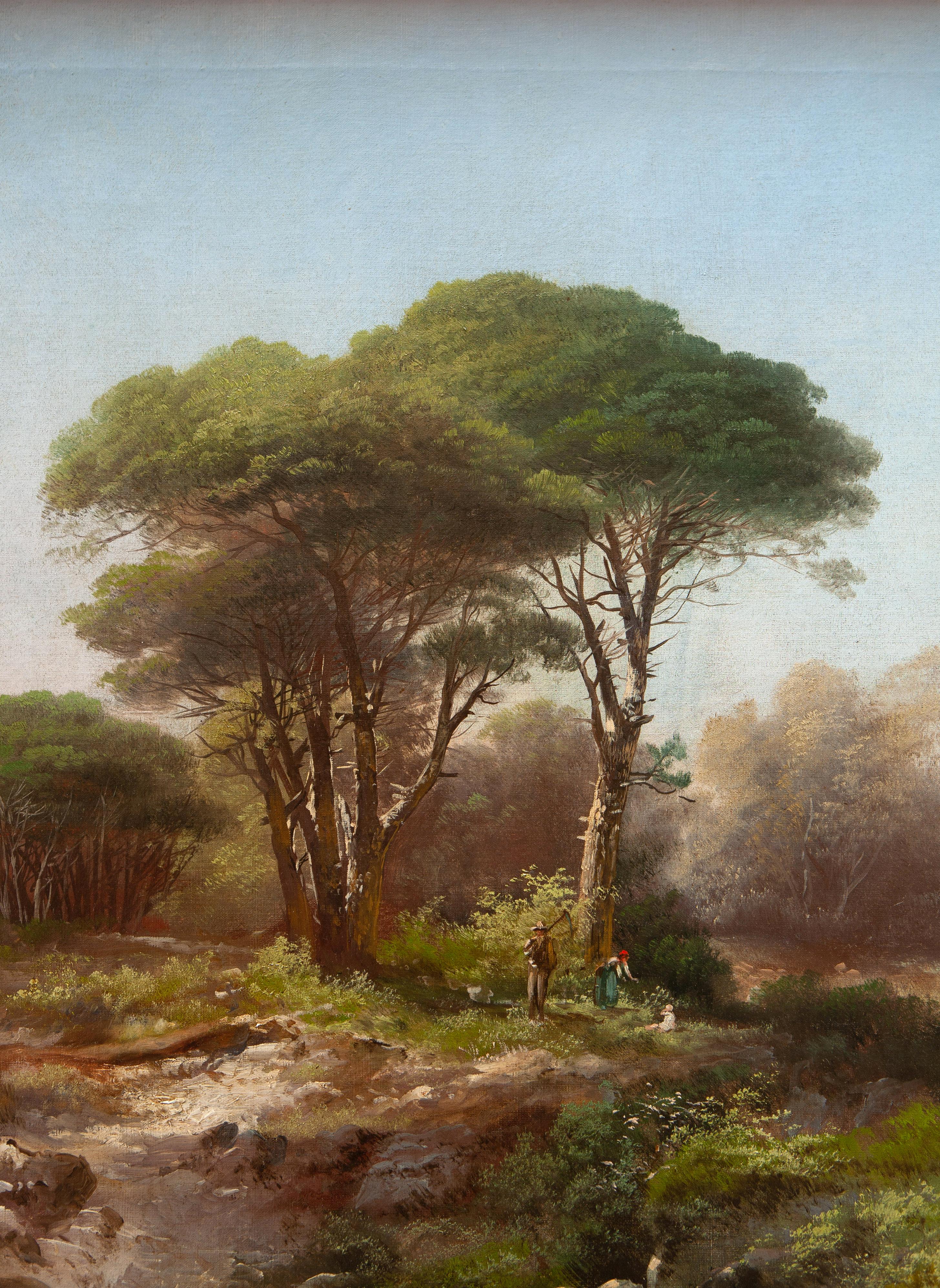 Ligurian pine forest - Brown Landscape Painting by Henry Markò (Firenze 1855-1921)