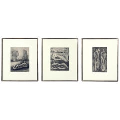 Henry Moore Modernist Prints
