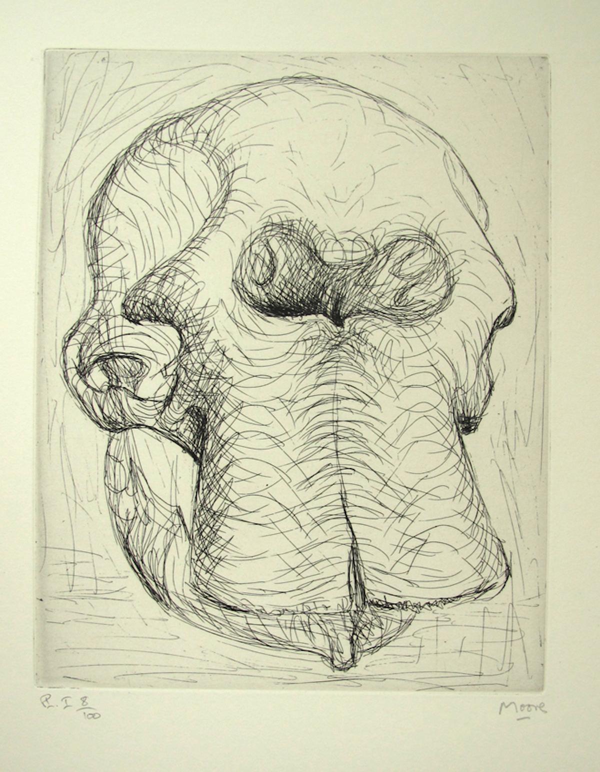 Elephant Skull - Original Etchings by Henry Moore - 1970