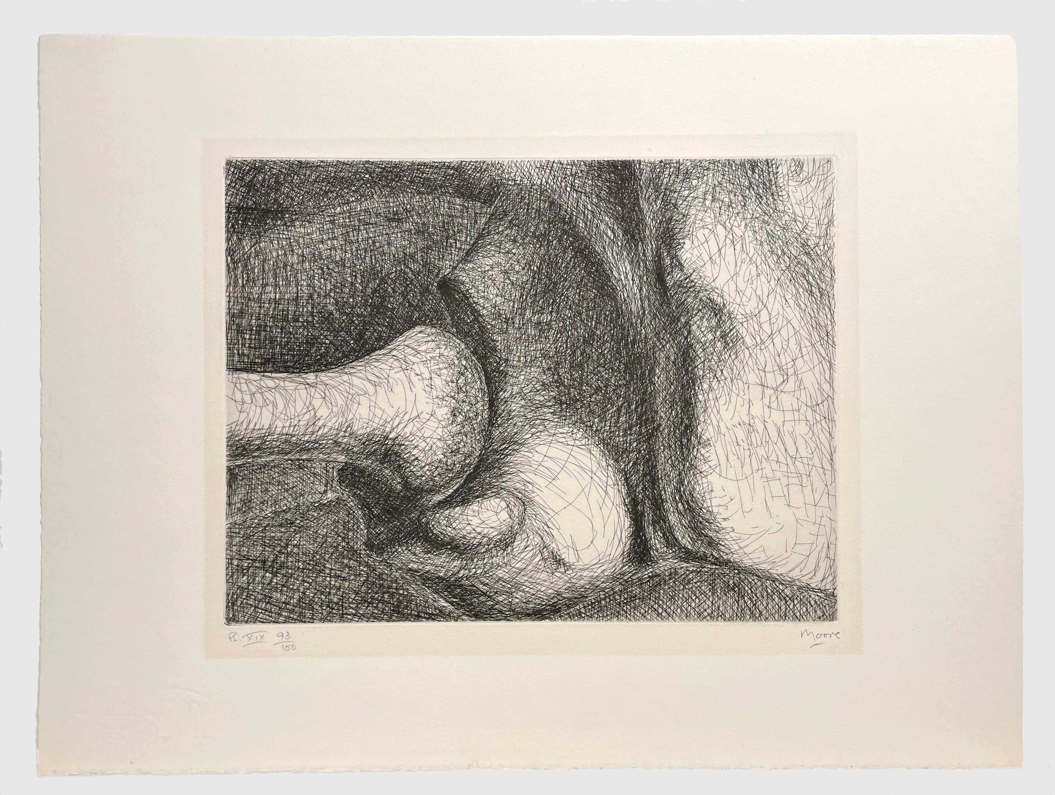 Pl. XIX (From Elephant Skull) - Print by Henry Moore