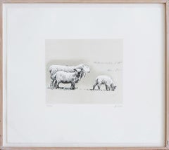 Vintage Sheep in Landscape (C. 558)