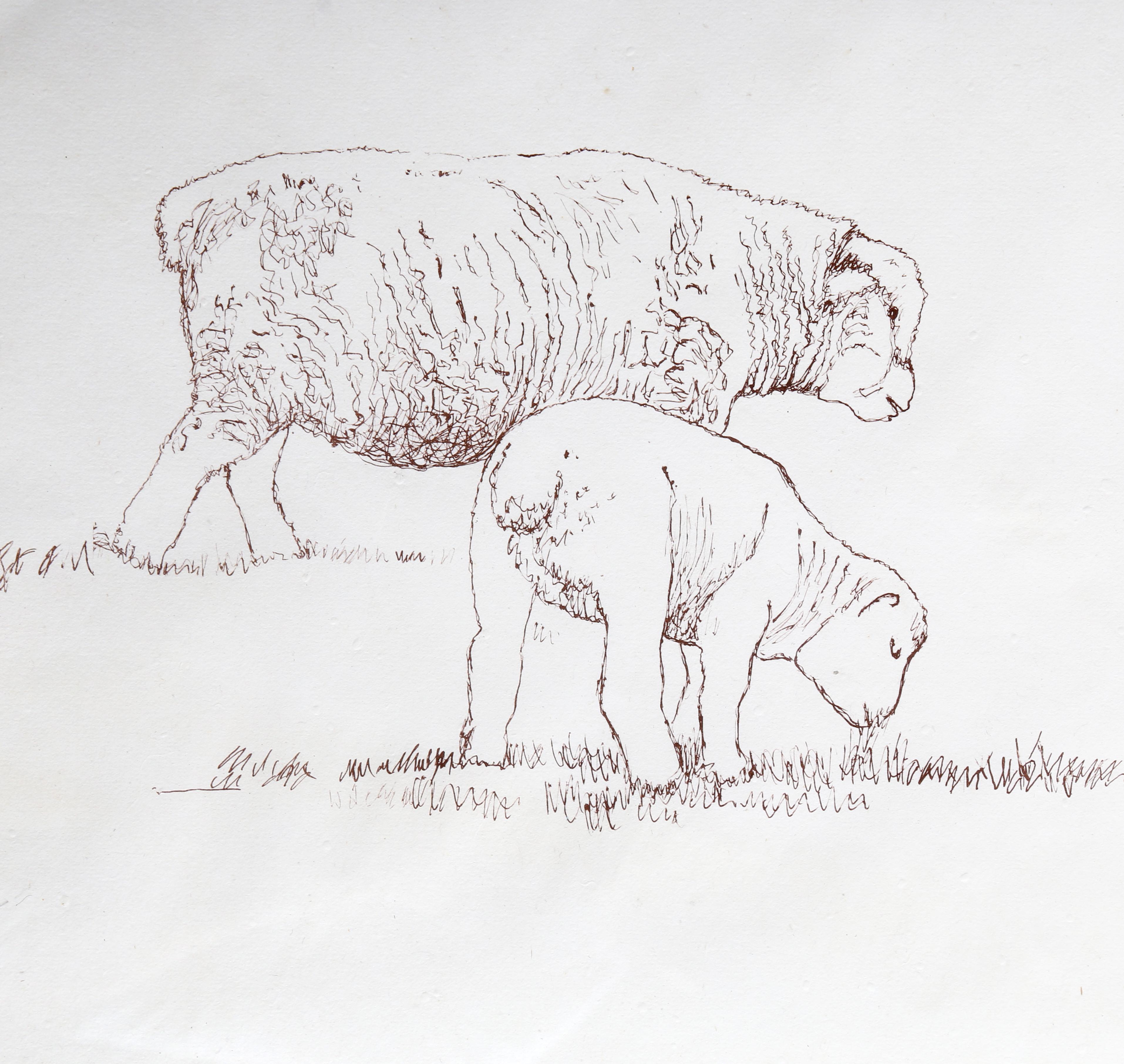 henry moore sheep sketchbook