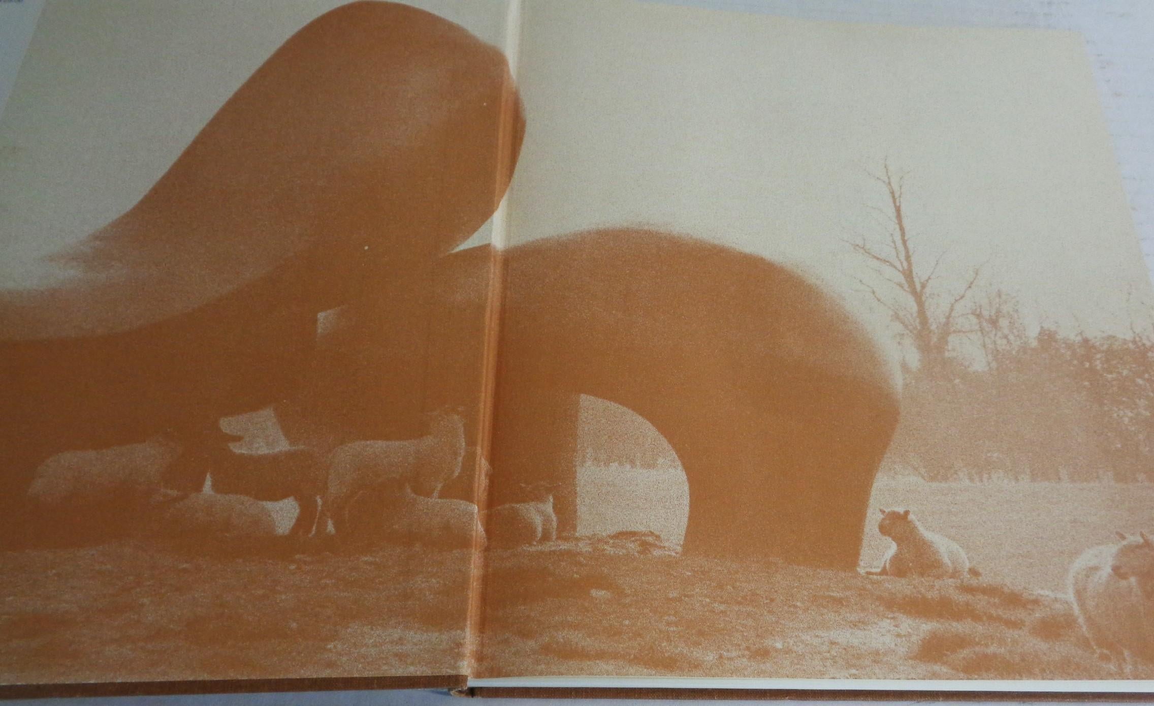 Skulpturen von Henry Moore in Landschaft - 1978 Clarkson N. Potter - 1. Auflage (amerikanisch) im Angebot