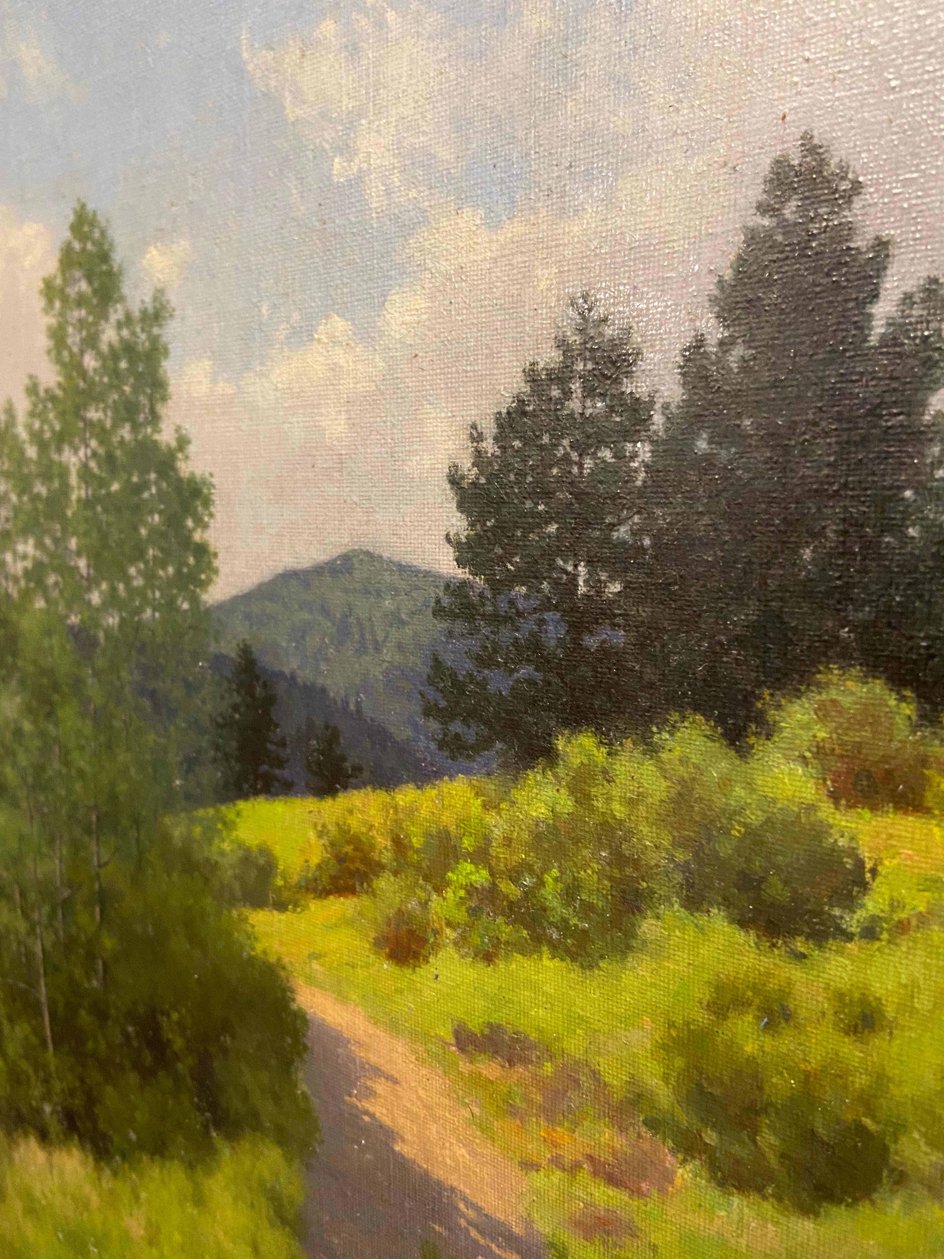 Northern Colorado Landscape by Henry Read 4