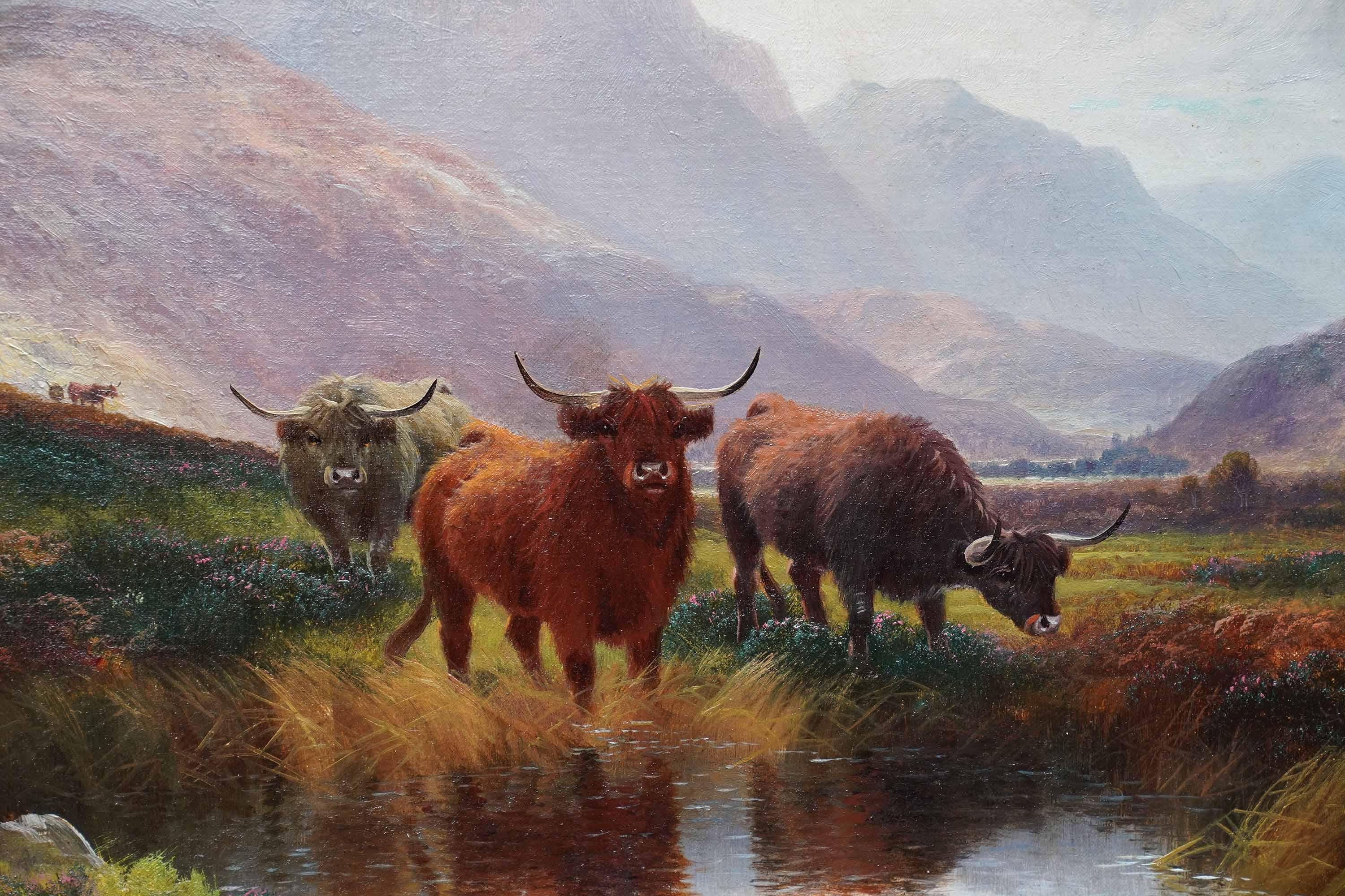 Bestiame delle Highlands in una pozza di brughiera, Perthshire - dipinto a olio d'arte britannico del 19° secolo - Painting Vittoriano di  Henry Robinson Hall