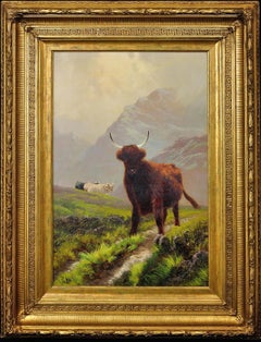 Highland Cattle in Scottish Upland Pasture, 1891. Scottish Cows. Scotland.