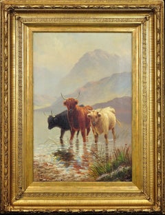 Highland Cattle in the Margins of a Loch. Scottish Cows. Scotland. Victorian.