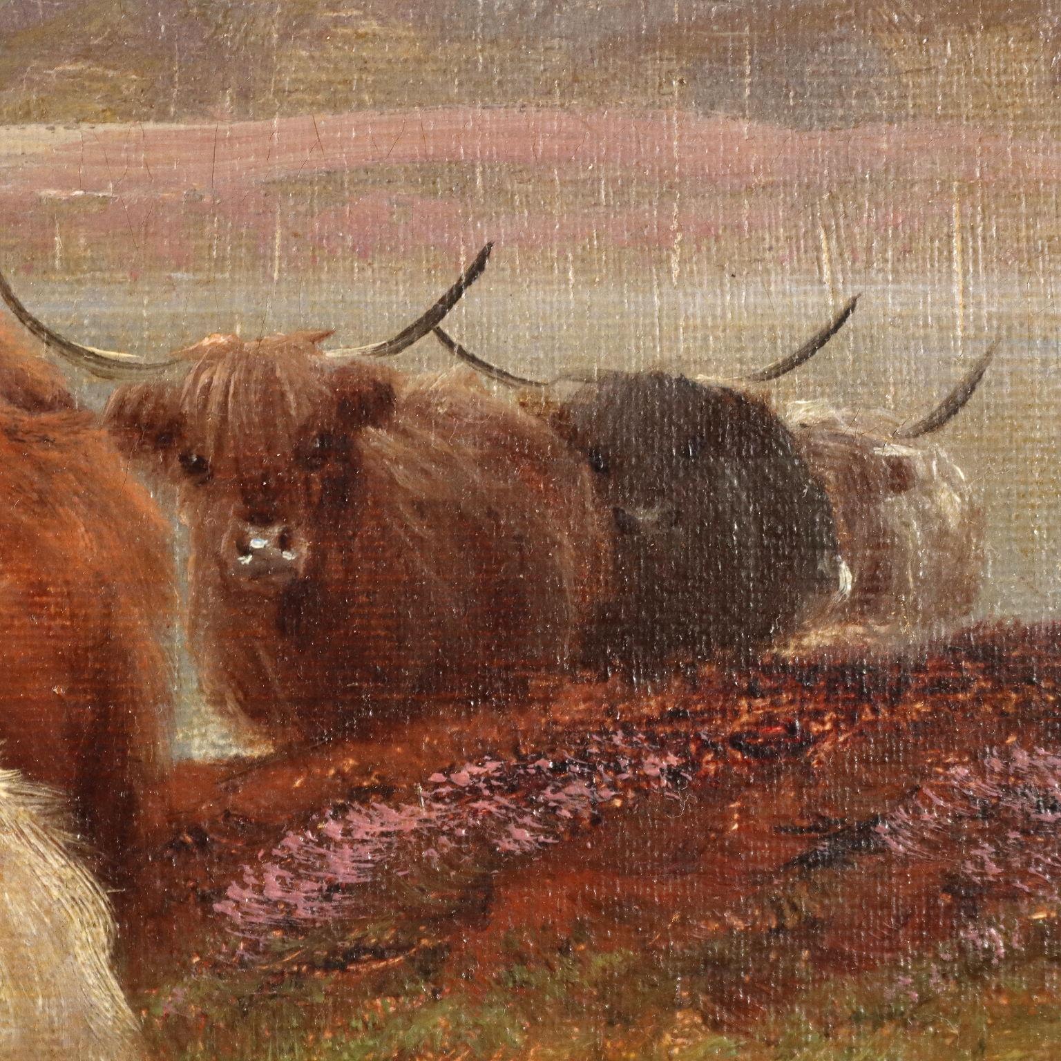 Highland Cattle Loch Venachar 19th century 2