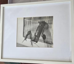 Henry Rox critico d'arte alterato dalla visione della pittura astratta del dopoguerra (1948)