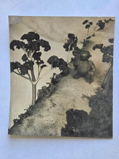 Henry Rox "He was a Strange Little Figure" Tommy Apple Banana-land 1934/1940