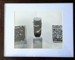 Venus (Photo-Sculpture with Cardboard Arms and Framed Works)