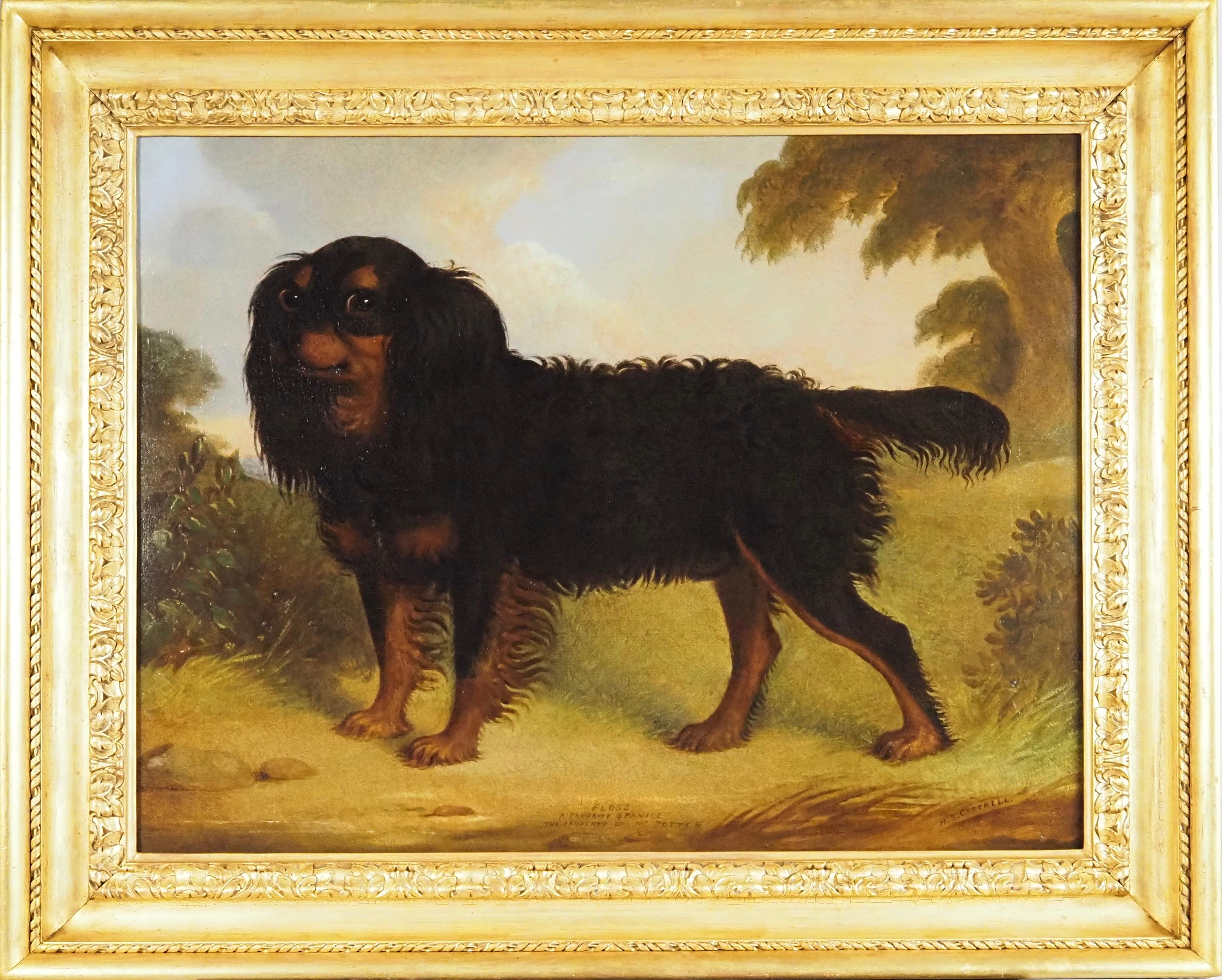 Henry S. Cottrell Animal Painting - "Floss", a favourite spaniel, property of Ms Potter